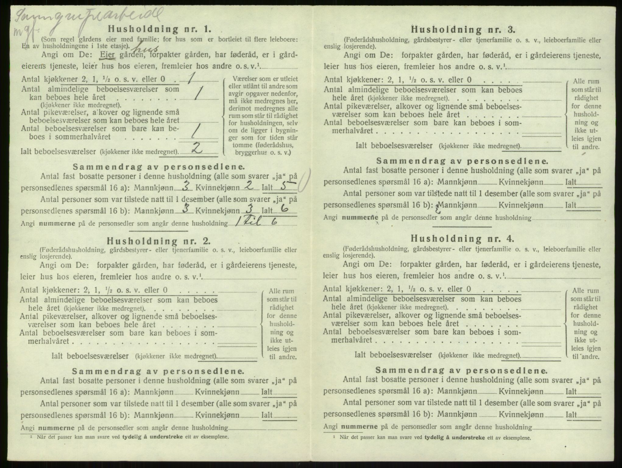 SAB, 1920 census for Bruvik, 1920, p. 1060