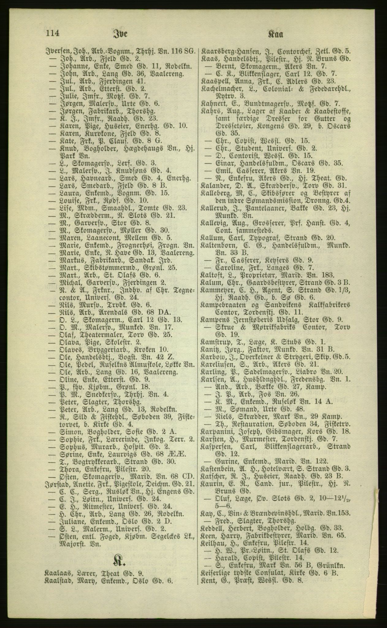 Kristiania/Oslo adressebok, PUBL/-, 1881, p. 114