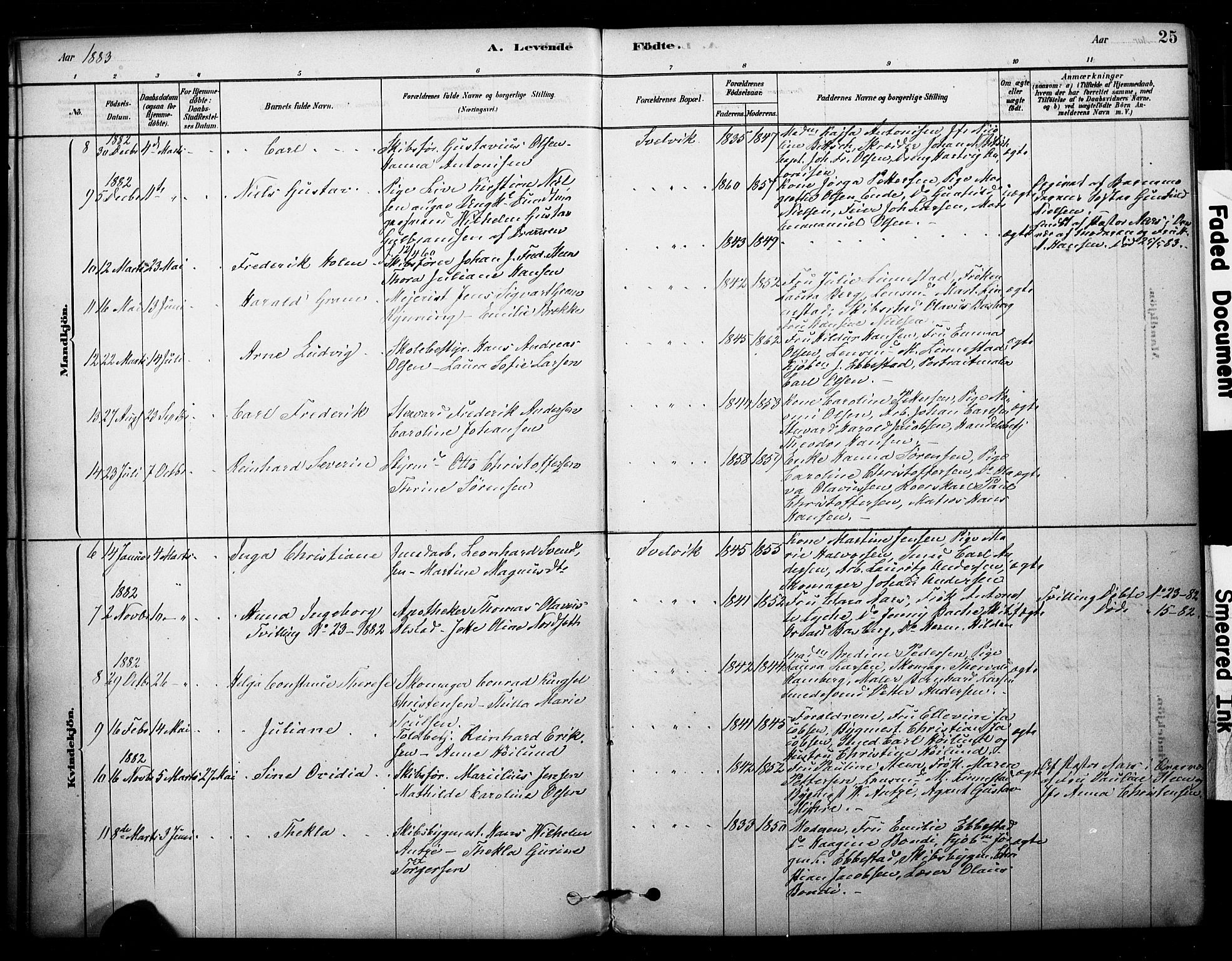 Strømm kirkebøker, AV/SAKO-A-322/F/Fb/L0001: Parish register (official) no. II 1, 1878-1899, p. 25