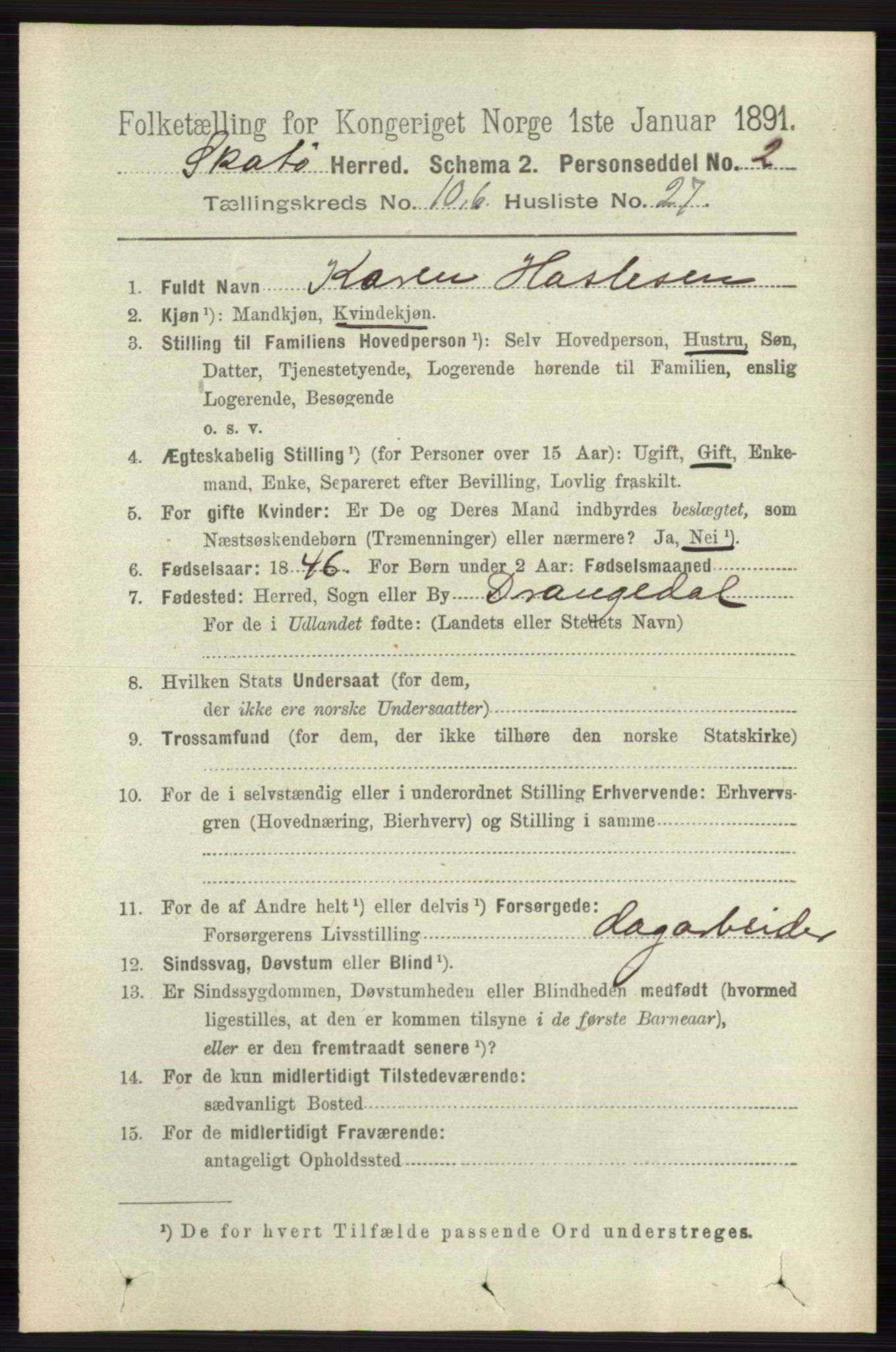 RA, 1891 census for 0815 Skåtøy, 1891, p. 4201