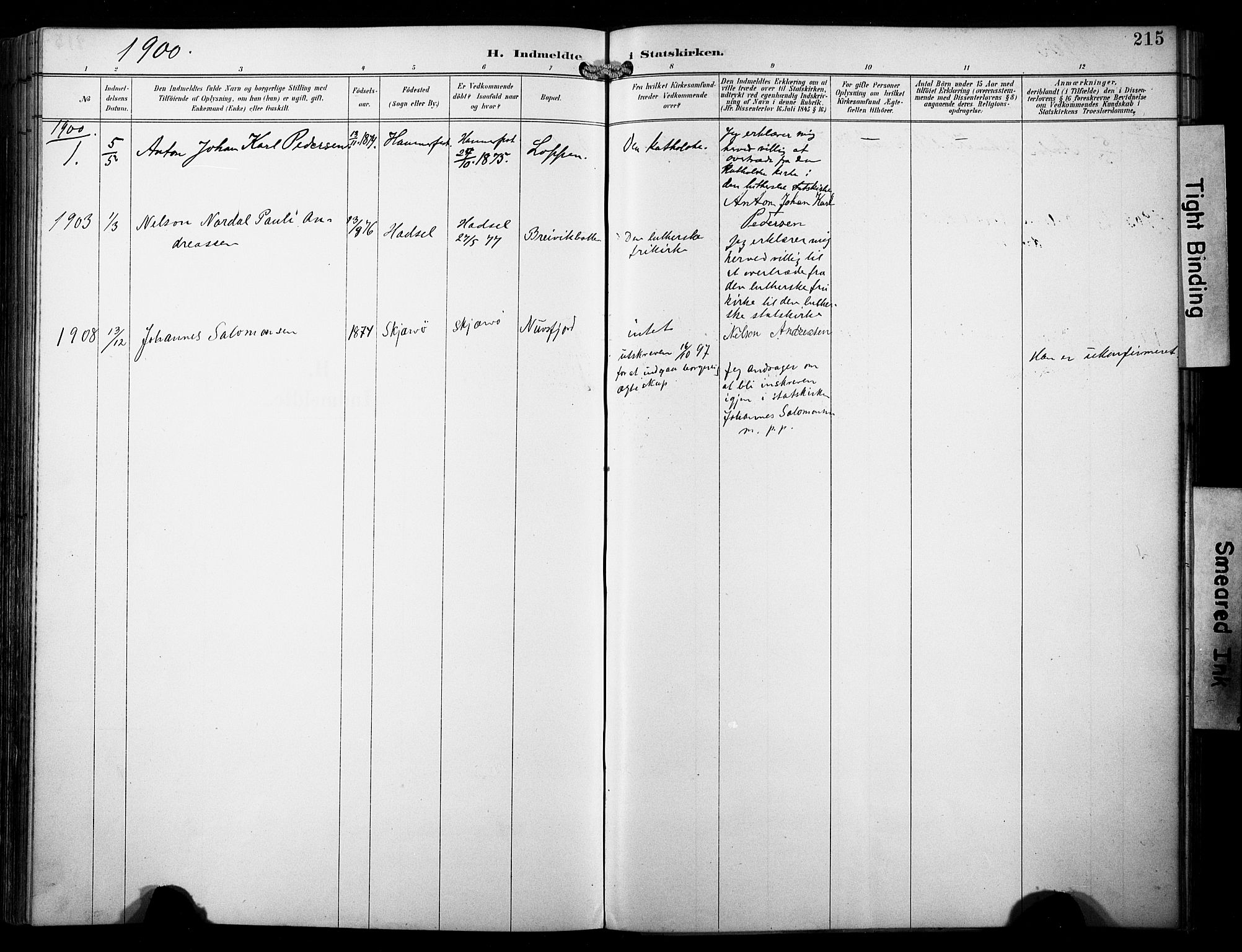 Loppa sokneprestkontor, SATØ/S-1339/H/Ha/L0009kirke: Parish register (official) no. 9, 1895-1909, p. 215