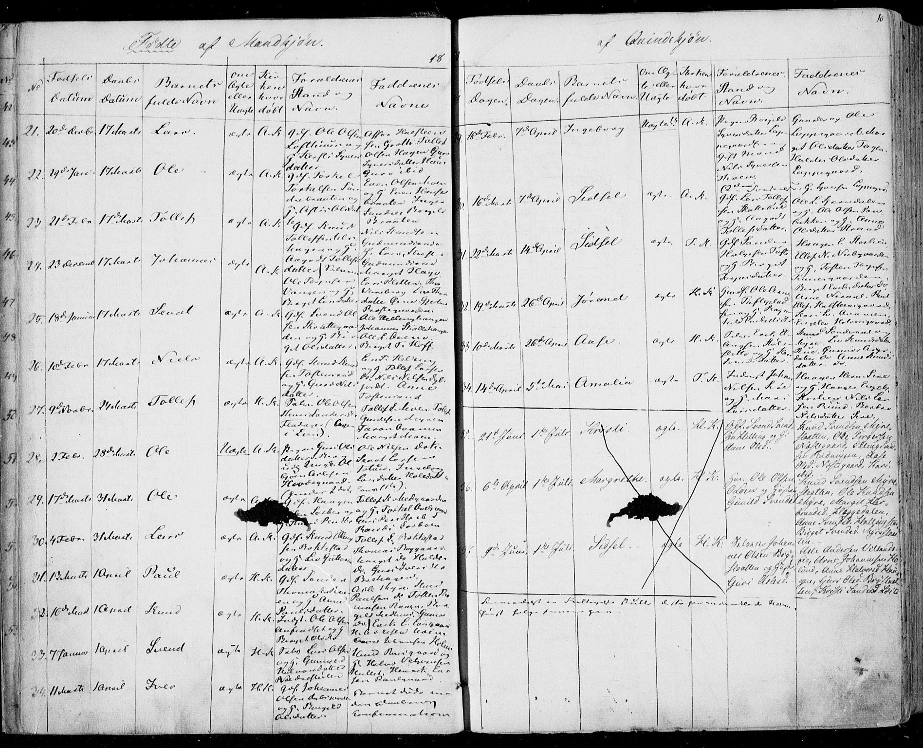 Ål kirkebøker, AV/SAKO-A-249/F/Fa/L0006: Parish register (official) no. I 6, 1849-1864, p. 10