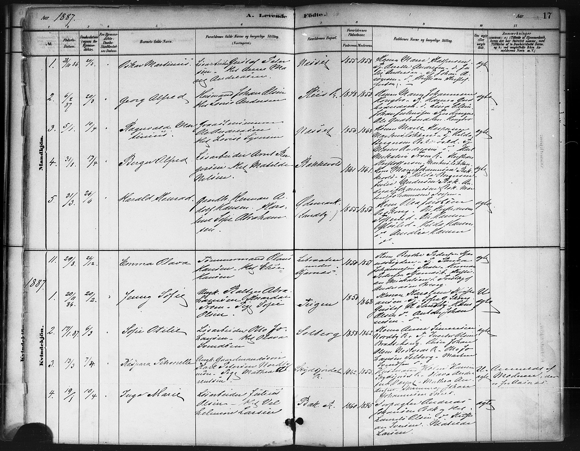 Ås prestekontor Kirkebøker, AV/SAO-A-10894/F/Fb/L0001: Parish register (official) no. II 1, 1881-1895, p. 17