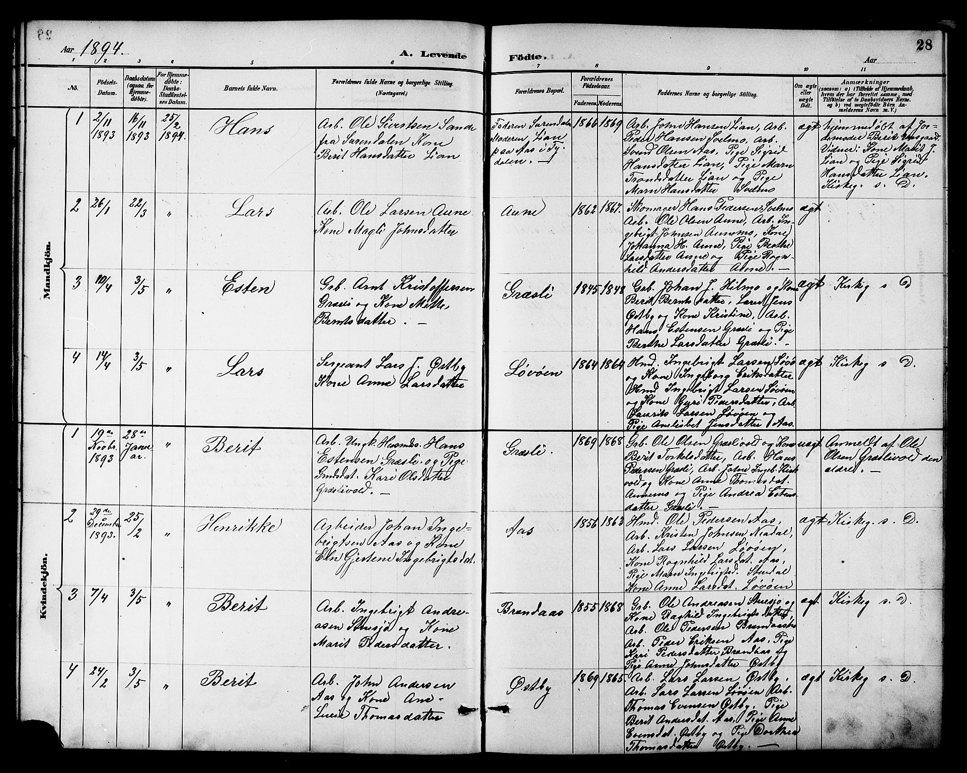 Ministerialprotokoller, klokkerbøker og fødselsregistre - Sør-Trøndelag, SAT/A-1456/698/L1167: Parish register (copy) no. 698C04, 1888-1907, p. 28