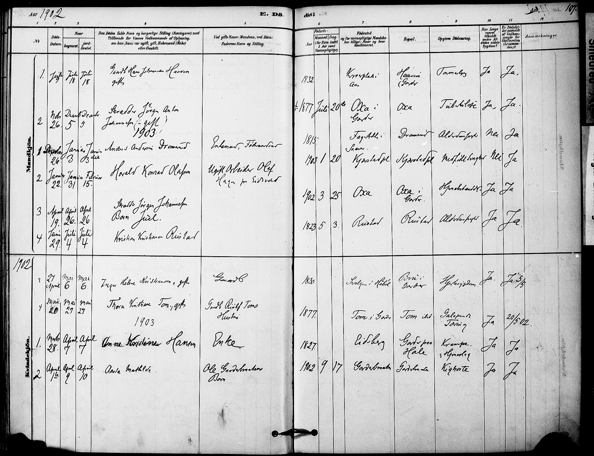 Vestby prestekontor Kirkebøker, AV/SAO-A-10893/F/Fa/L0011: Parish register (official) no. I 11, 1878-1913, p. 107