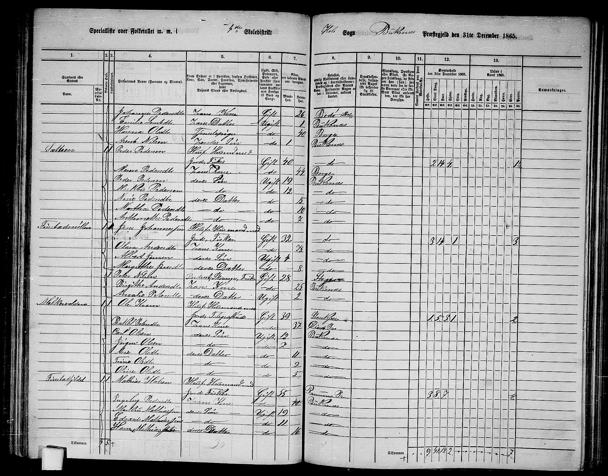 RA, 1865 census for Buksnes, 1865, p. 100
