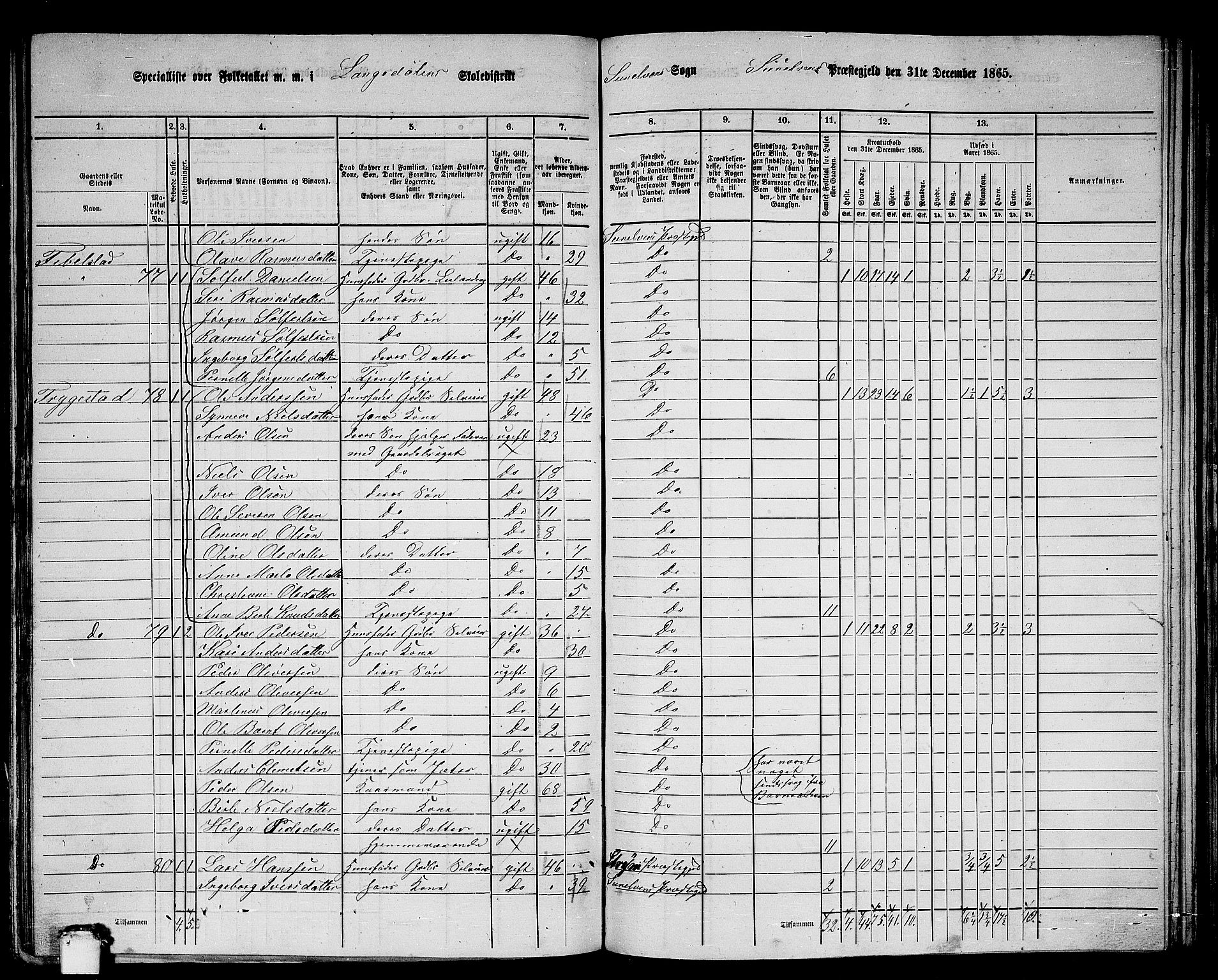 RA, 1865 census for Sunnylven, 1865, p. 27