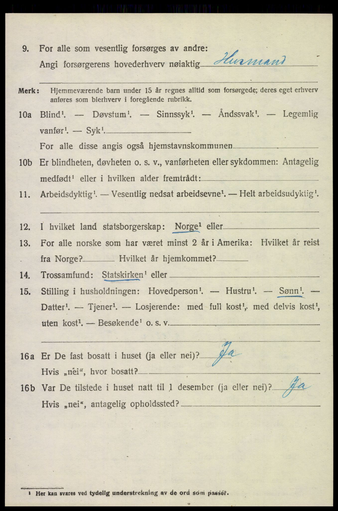 SAH, 1920 census for Ringsaker, 1920, p. 25053