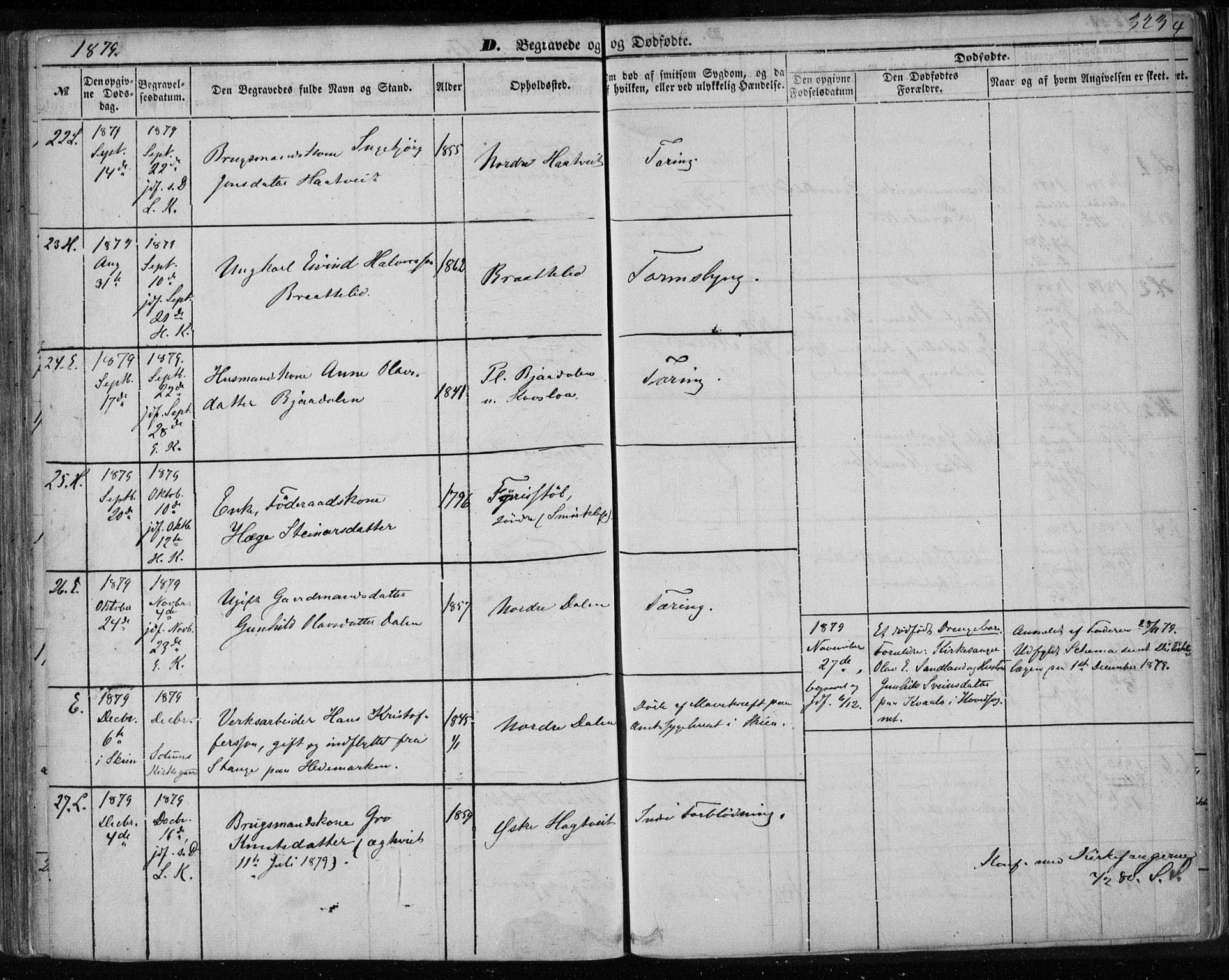 Lårdal kirkebøker, SAKO/A-284/F/Fa/L0006: Parish register (official) no. I 6, 1861-1886, p. 323