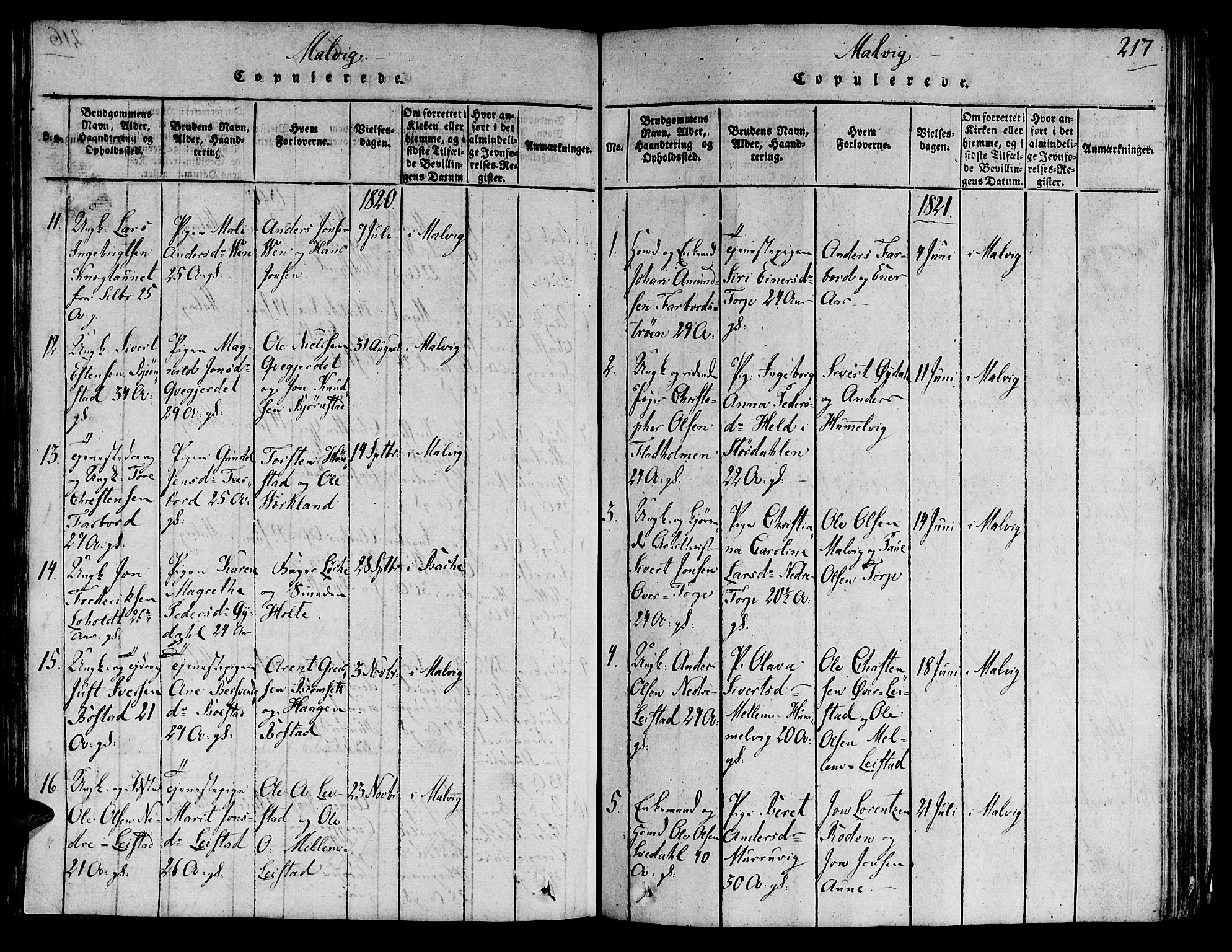 Ministerialprotokoller, klokkerbøker og fødselsregistre - Sør-Trøndelag, SAT/A-1456/606/L0284: Parish register (official) no. 606A03 /2, 1819-1823, p. 217