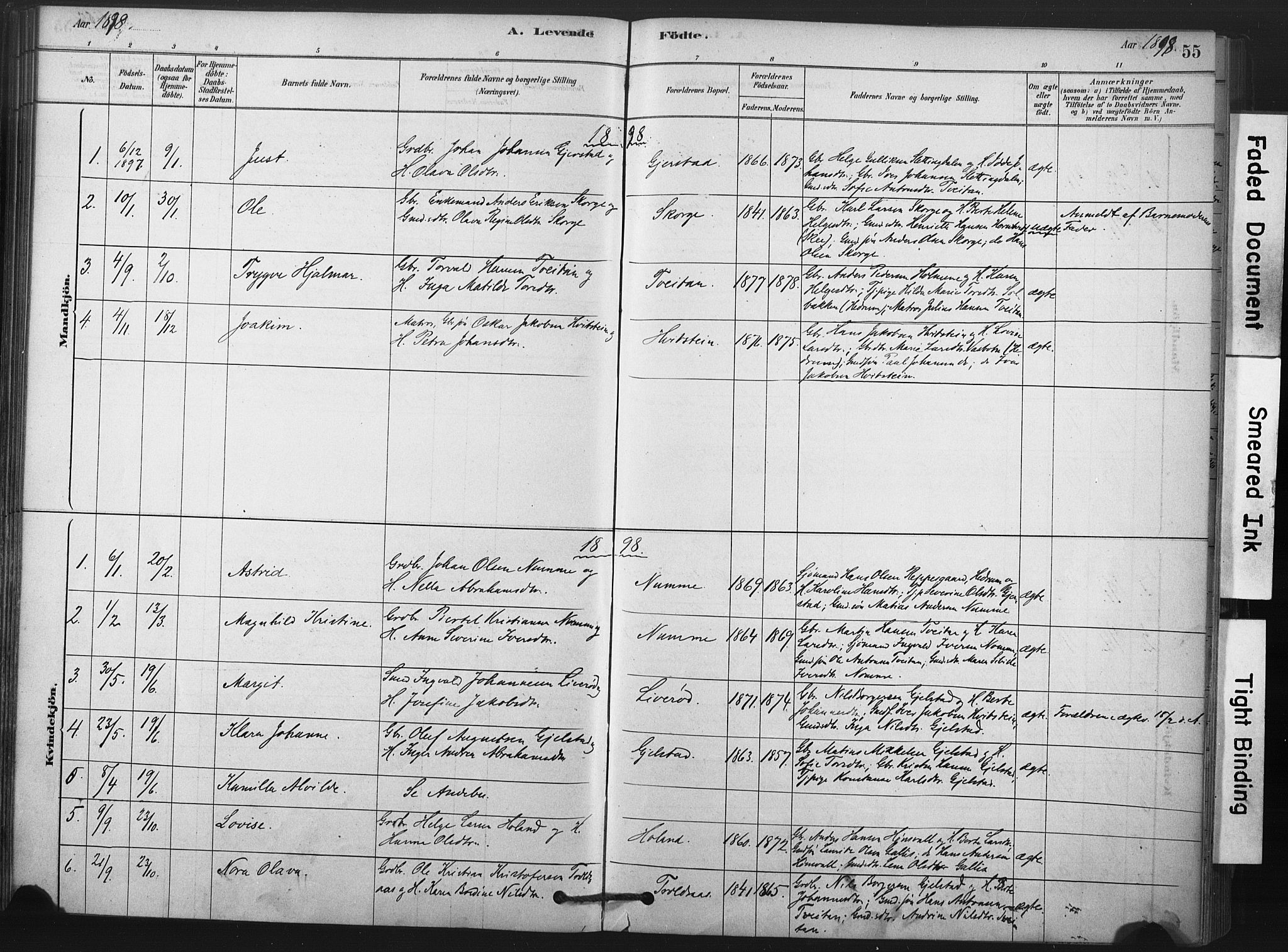 Andebu kirkebøker, AV/SAKO-A-336/F/Fa/L0008: Parish register (official) no. 8, 1878-1902, p. 55