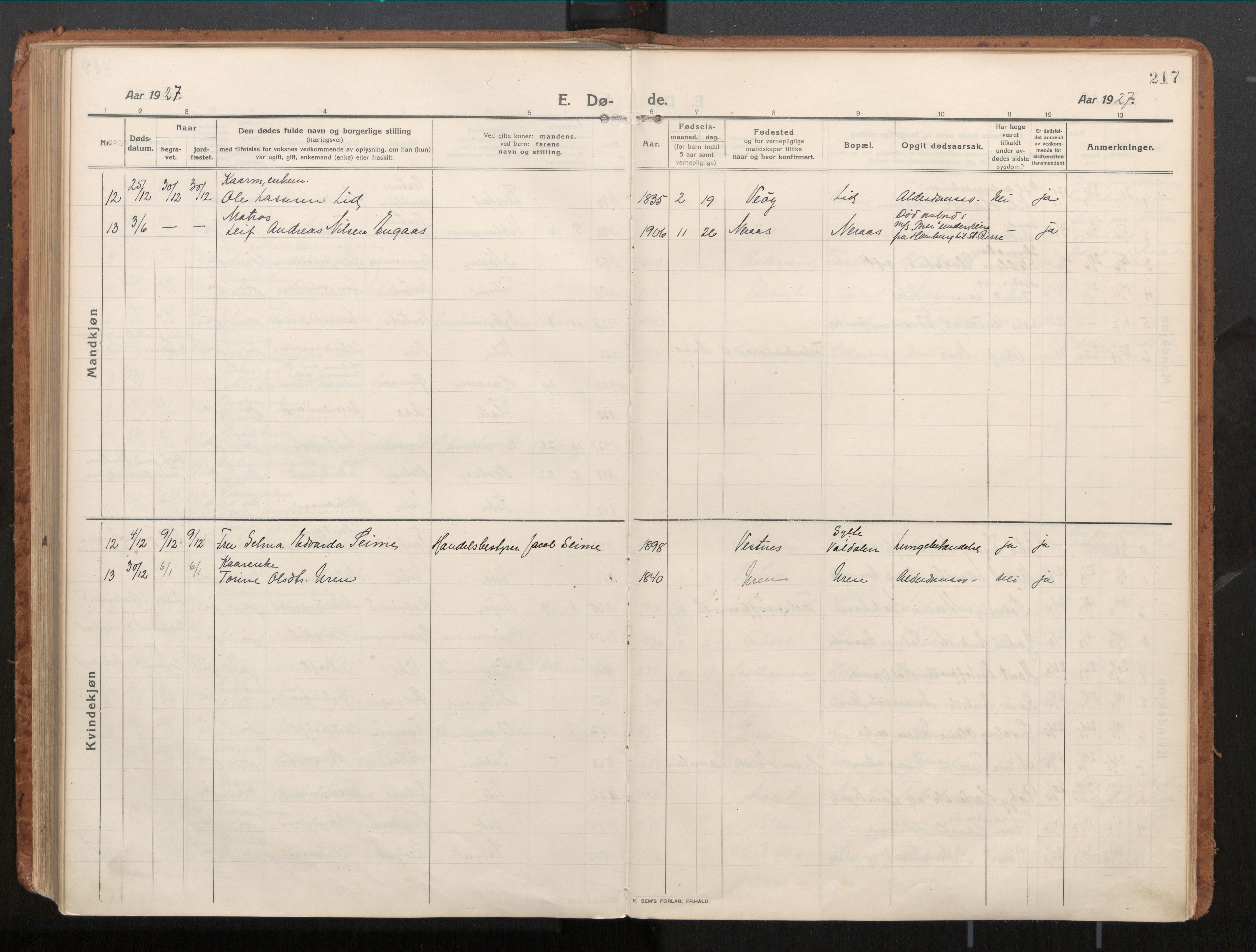 Ministerialprotokoller, klokkerbøker og fødselsregistre - Møre og Romsdal, AV/SAT-A-1454/539/L0534a: Parish register (official) no. 539A08, 1912-1935, p. 217