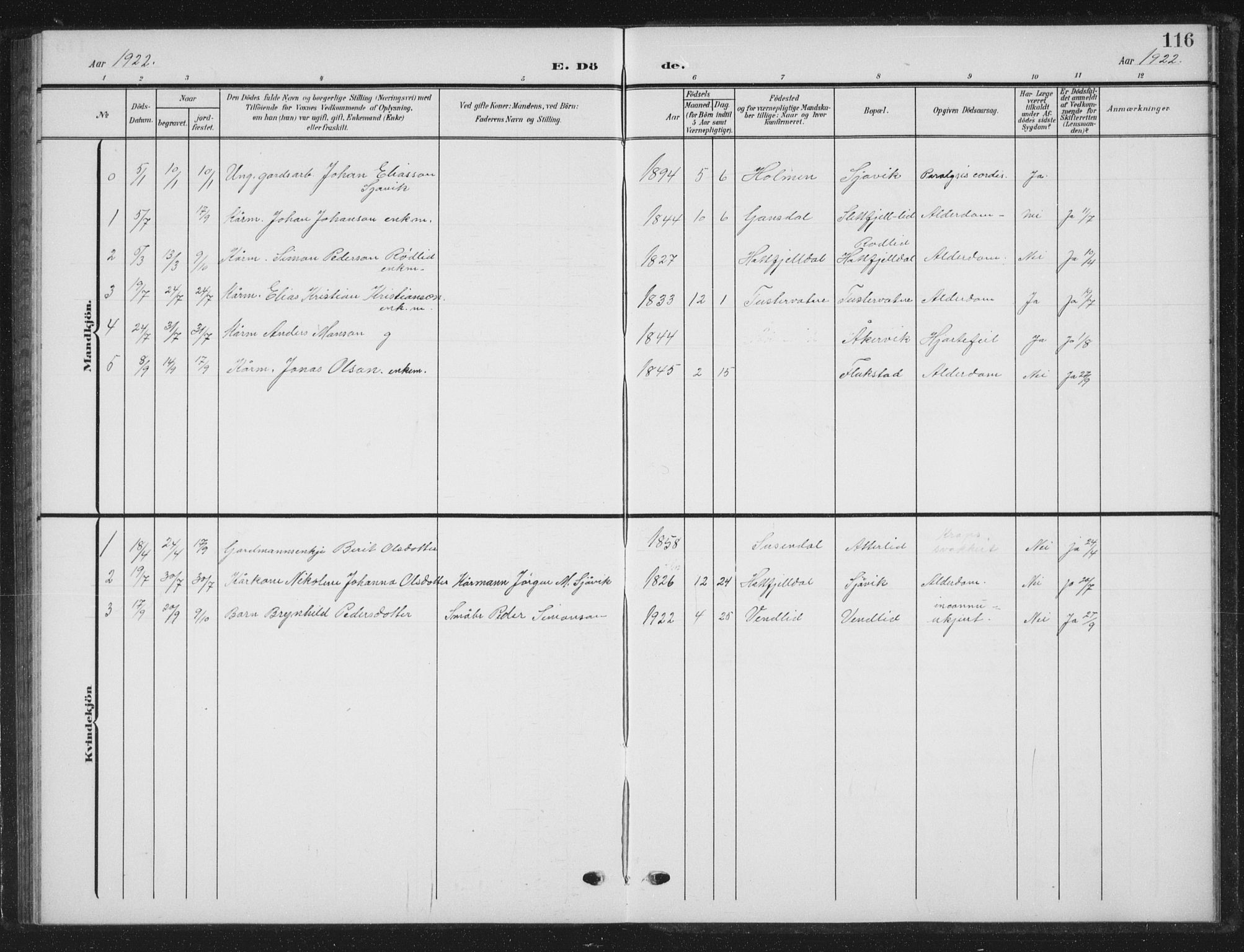 Ministerialprotokoller, klokkerbøker og fødselsregistre - Nordland, AV/SAT-A-1459/823/L0331: Parish register (copy) no. 823C03, 1905-1934, p. 116