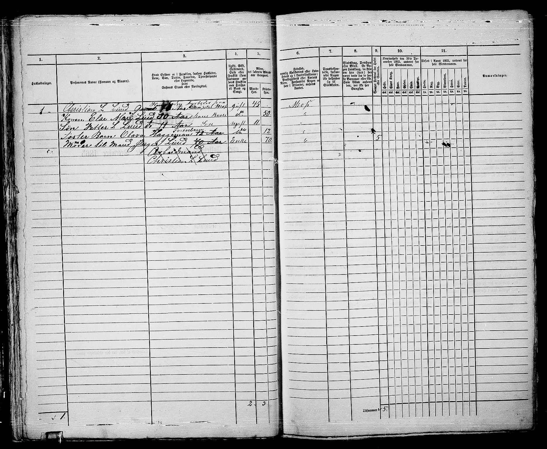 RA, 1865 census for Moss/Moss, 1865, p. 378