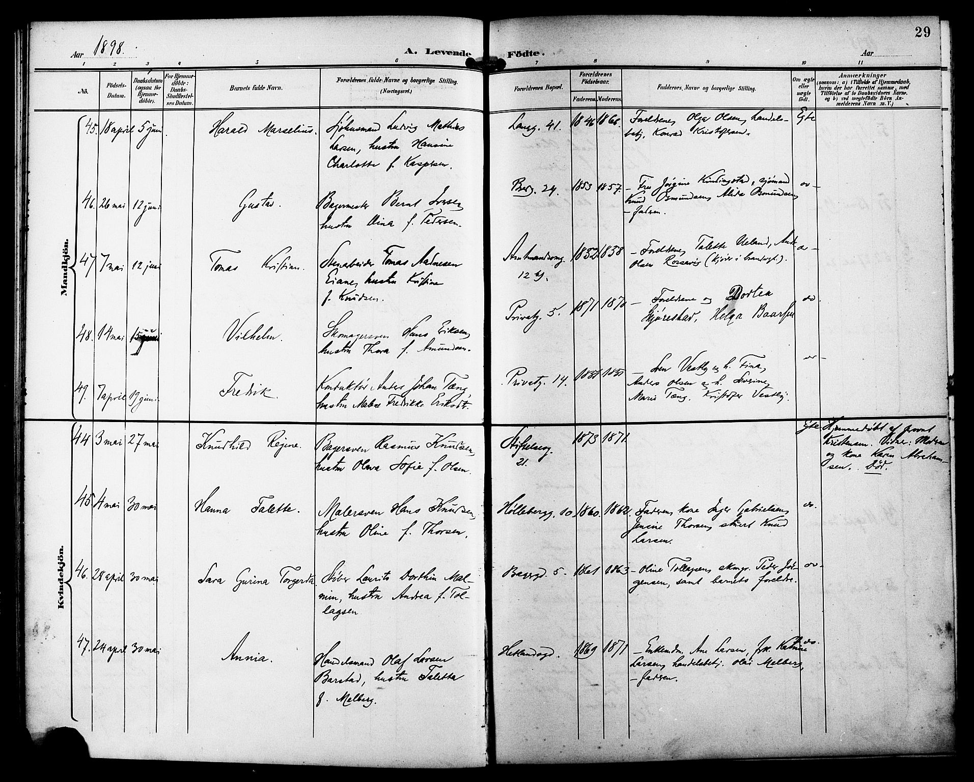 St. Petri sokneprestkontor, AV/SAST-A-101813/001/30/30BB/L0008: Parish register (copy) no. B 8, 1897-1905, p. 29