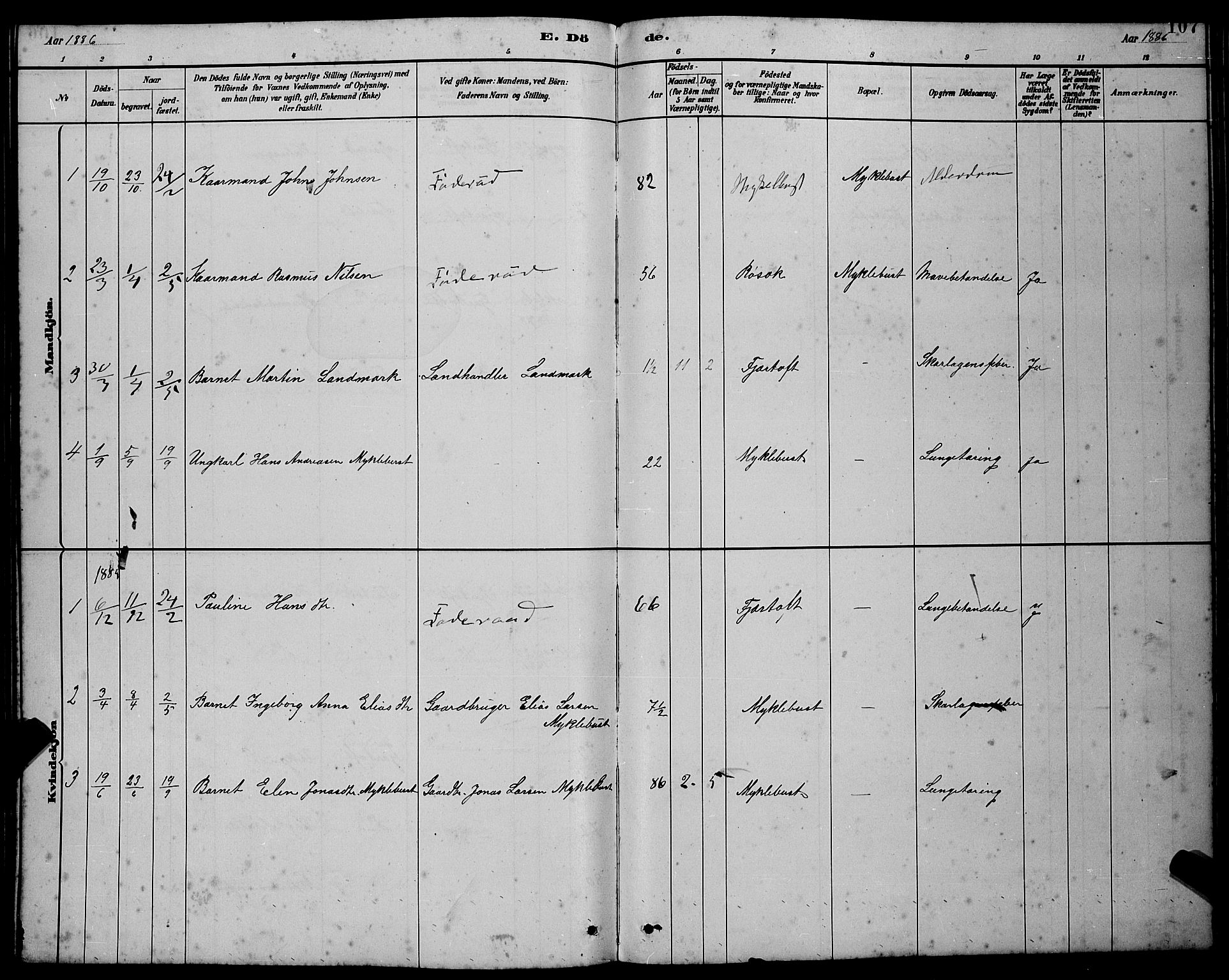 Ministerialprotokoller, klokkerbøker og fødselsregistre - Møre og Romsdal, SAT/A-1454/538/L0523: Parish register (copy) no. 538C01, 1881-1900, p. 107