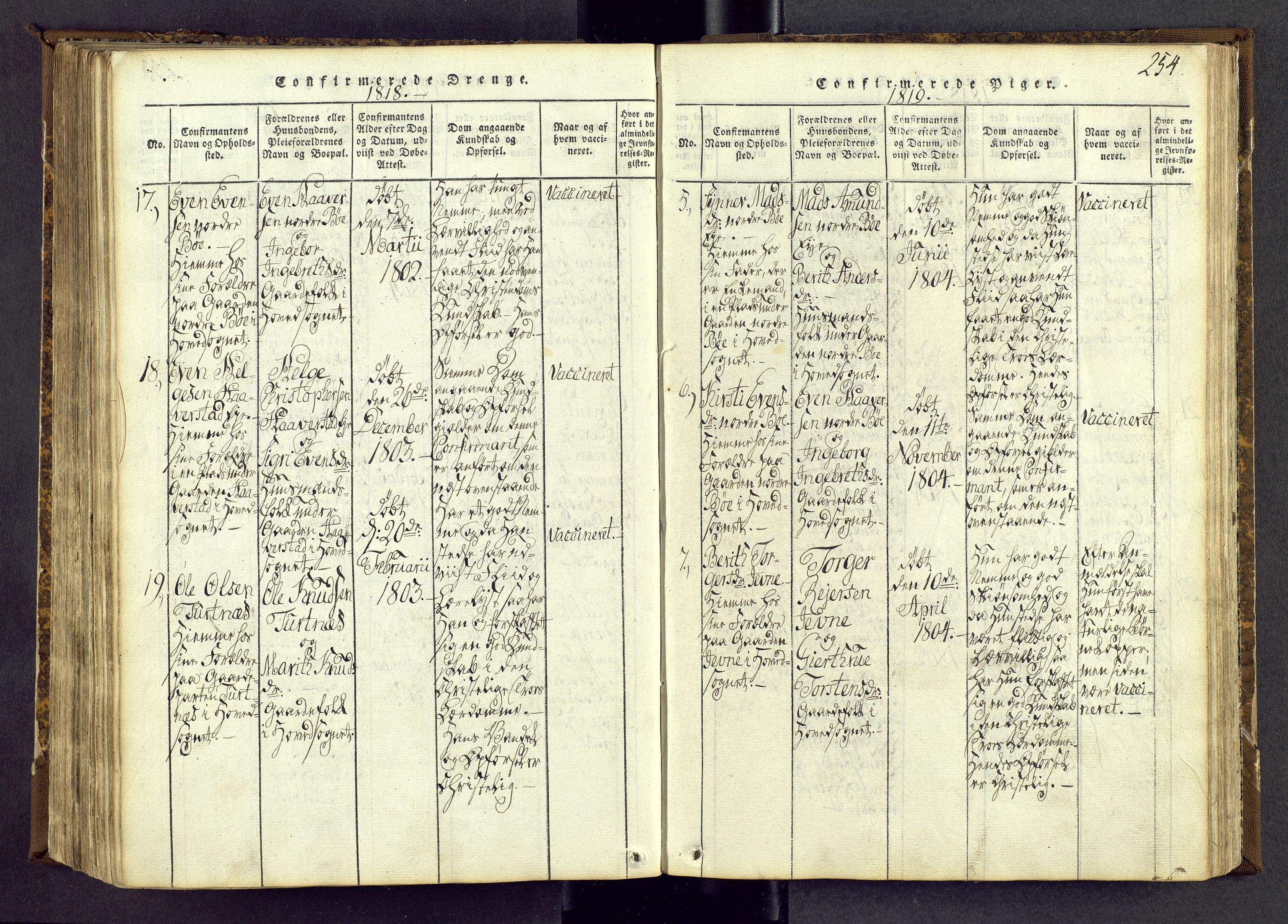 Vang prestekontor, Valdres, SAH/PREST-140/H/Ha/L0004: Parish register (official) no. 4, 1814-1831, p. 254