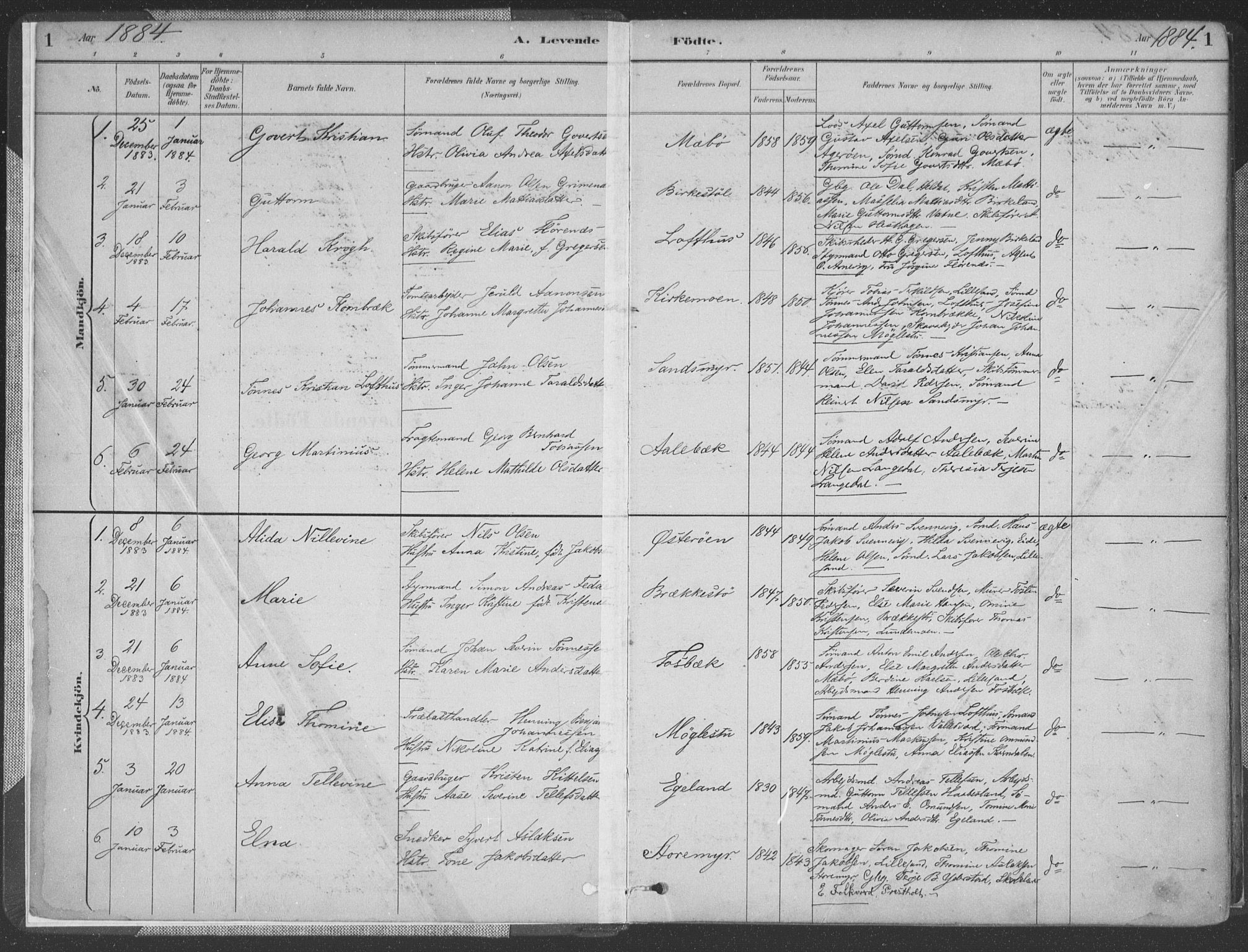 Vestre Moland sokneprestkontor, SAK/1111-0046/F/Fa/Fab/L0009: Parish register (official) no. A 9, 1884-1899, p. 1