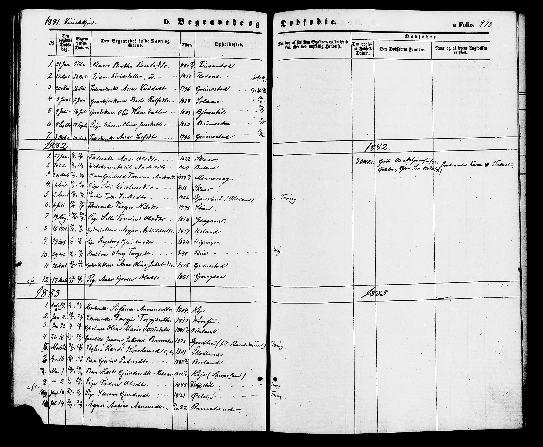 Holum sokneprestkontor, SAK/1111-0022/F/Fa/Fac/L0003: Parish register (official) no. A 3, 1860-1883, p. 228