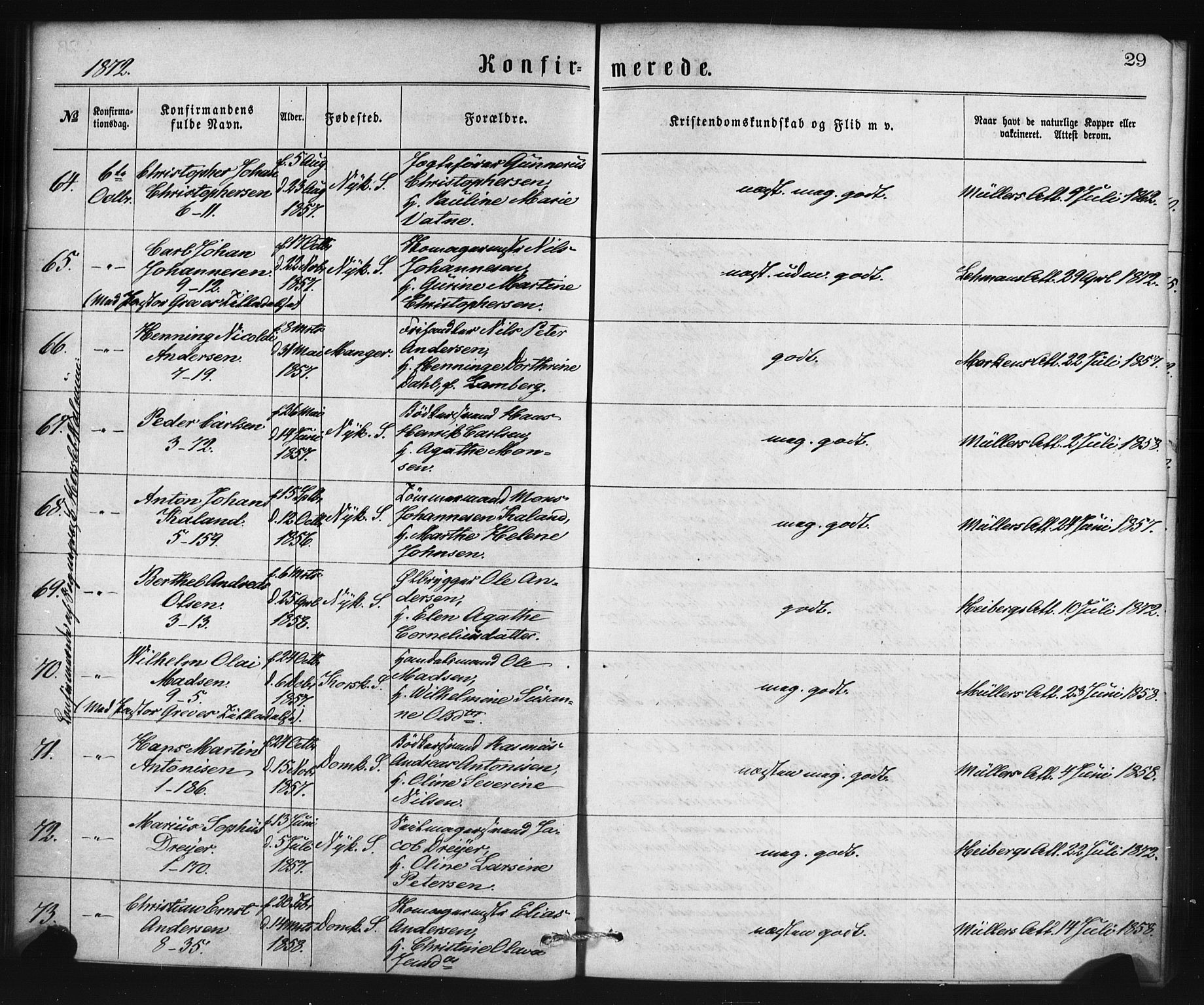 Nykirken Sokneprestembete, SAB/A-77101/H/Haa/L0025: Parish register (official) no. C 4, 1870-1886, p. 29