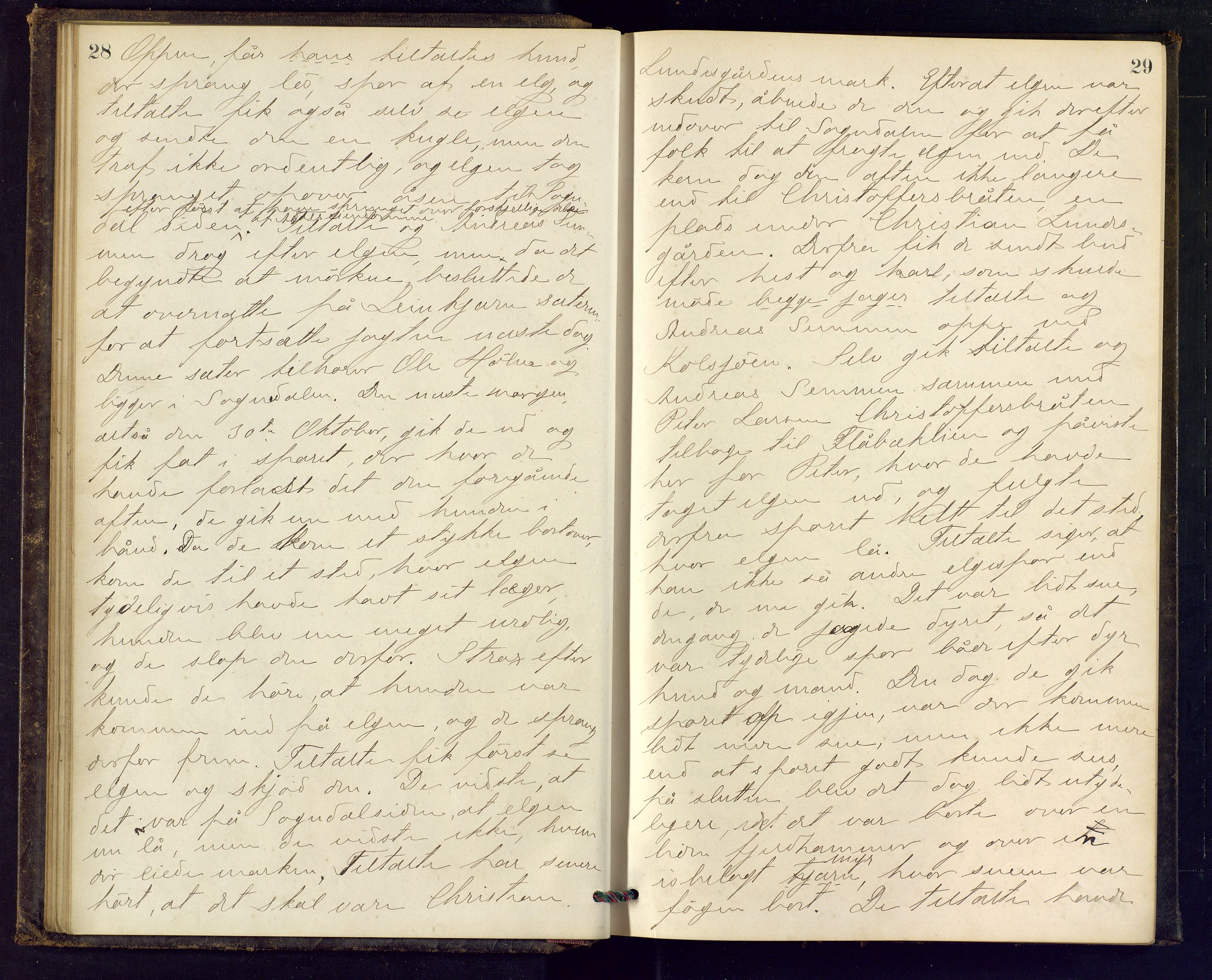 Ringerike sorenskriveri, AV/SAKO-A-105/F/Fc/Fca/L0017: Ekstrarettsprotokoll, 1880-1882, p. 28-29