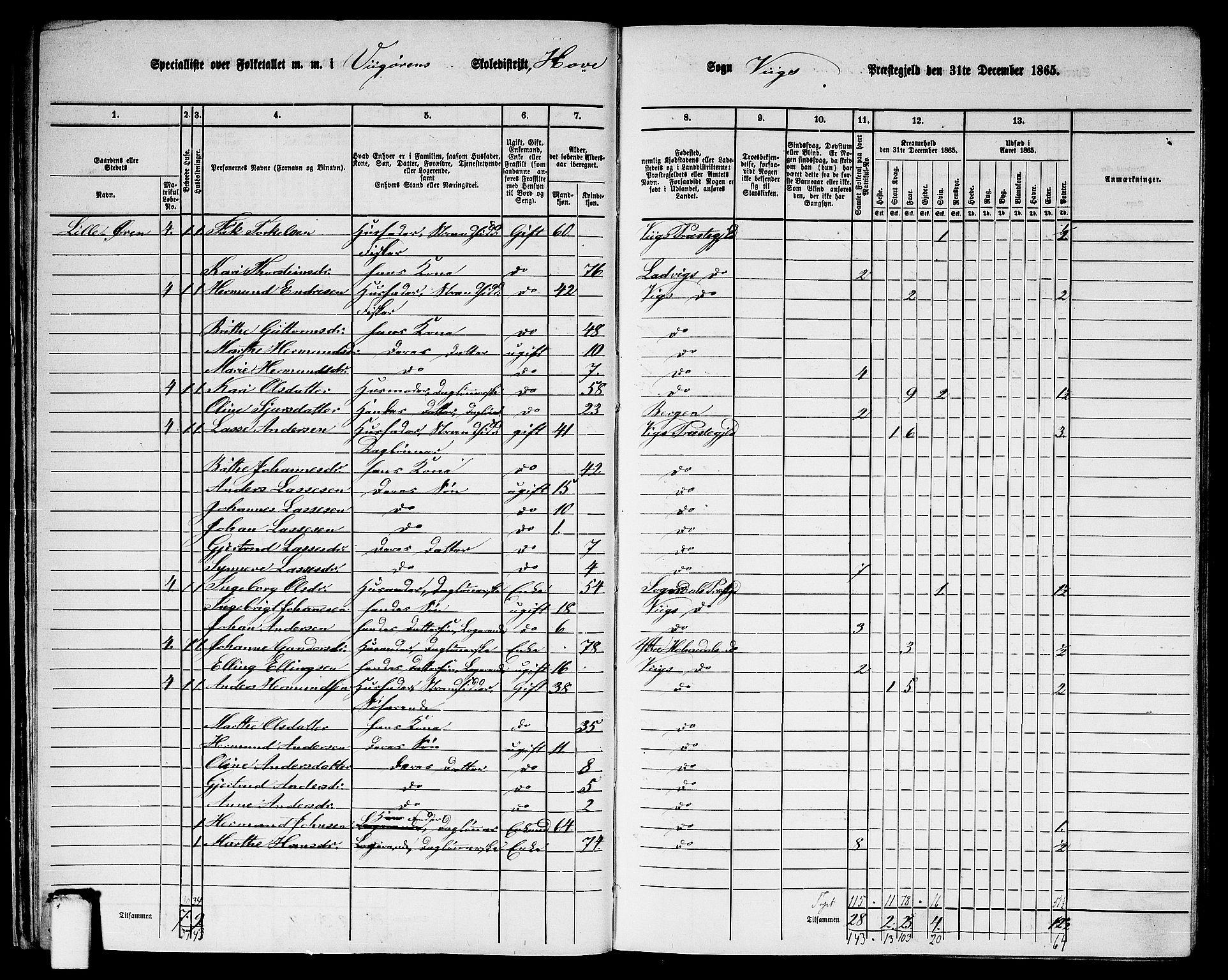 RA, 1865 census for Vik, 1865, p. 28