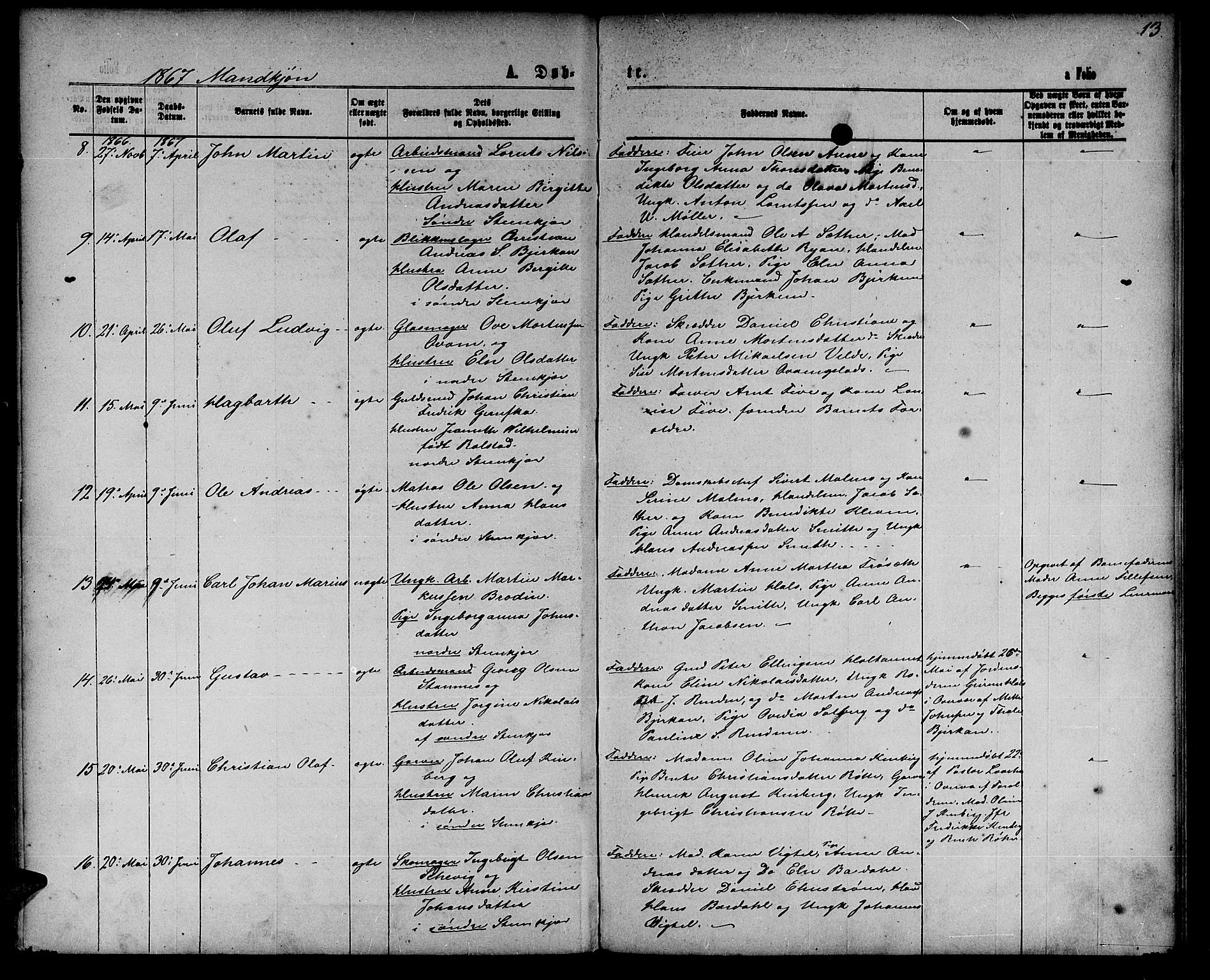 Ministerialprotokoller, klokkerbøker og fødselsregistre - Nord-Trøndelag, AV/SAT-A-1458/739/L0373: Parish register (copy) no. 739C01, 1865-1882, p. 13