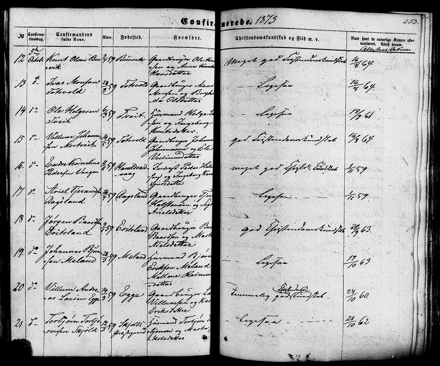 Skjold sokneprestkontor, AV/SAST-A-101847/H/Ha/Haa/L0008: Parish register (official) no. A 8, 1856-1882, p. 253