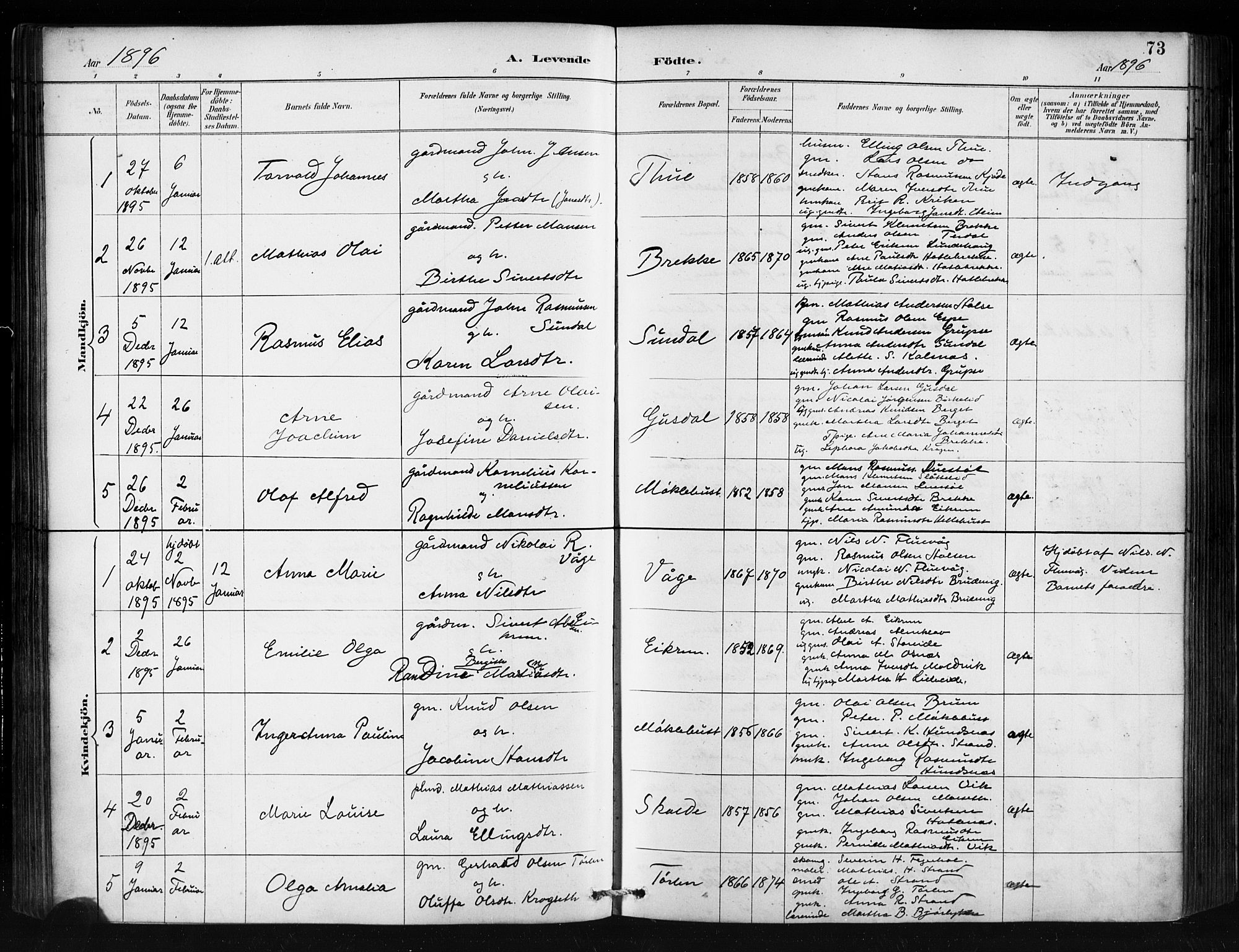 Ministerialprotokoller, klokkerbøker og fødselsregistre - Møre og Romsdal, AV/SAT-A-1454/501/L0008: Parish register (official) no. 501A08, 1885-1901, p. 73