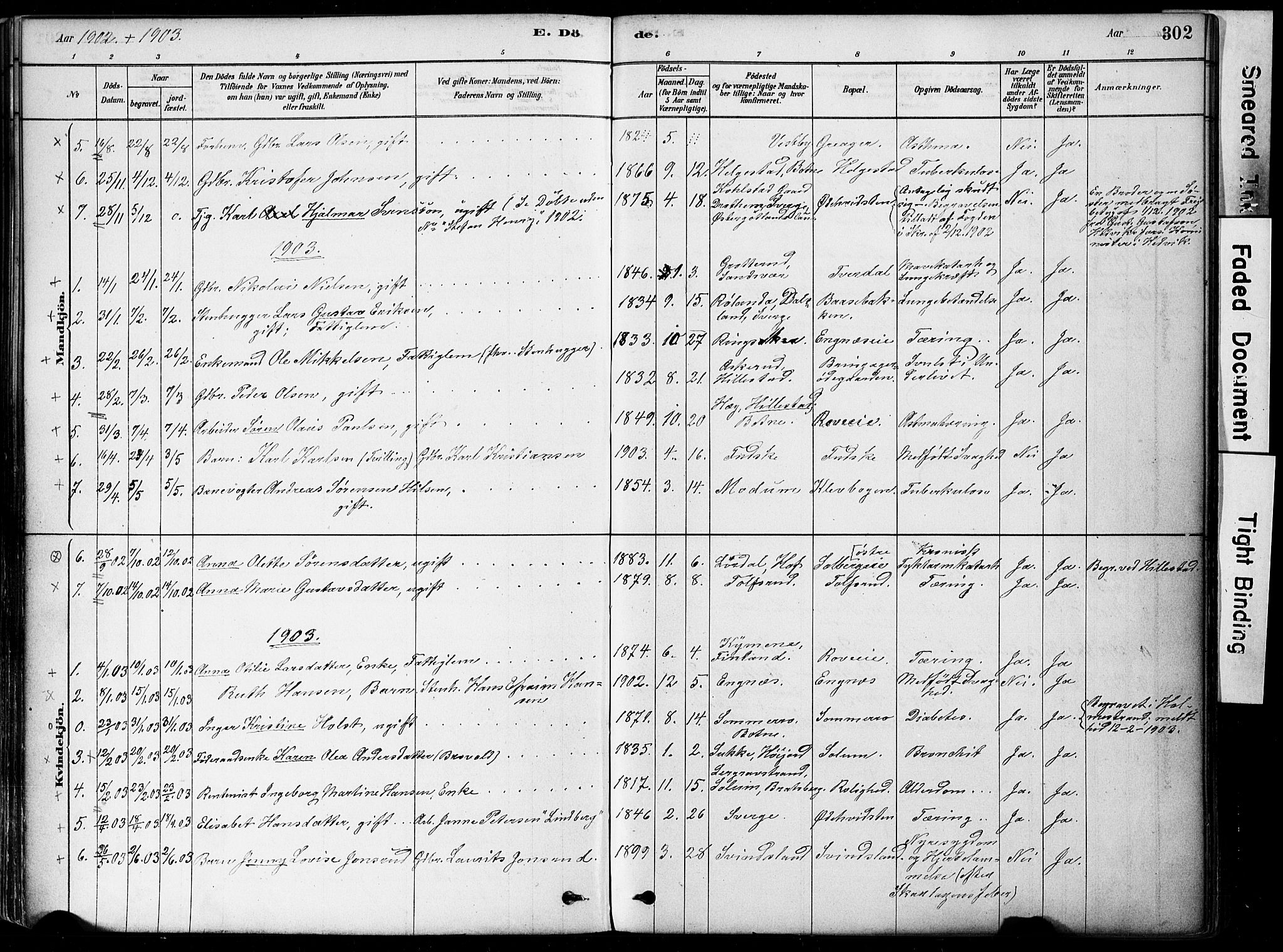 Botne kirkebøker, SAKO/A-340/F/Fa/L0007: Parish register (official) no. I 7, 1878-1910, p. 302