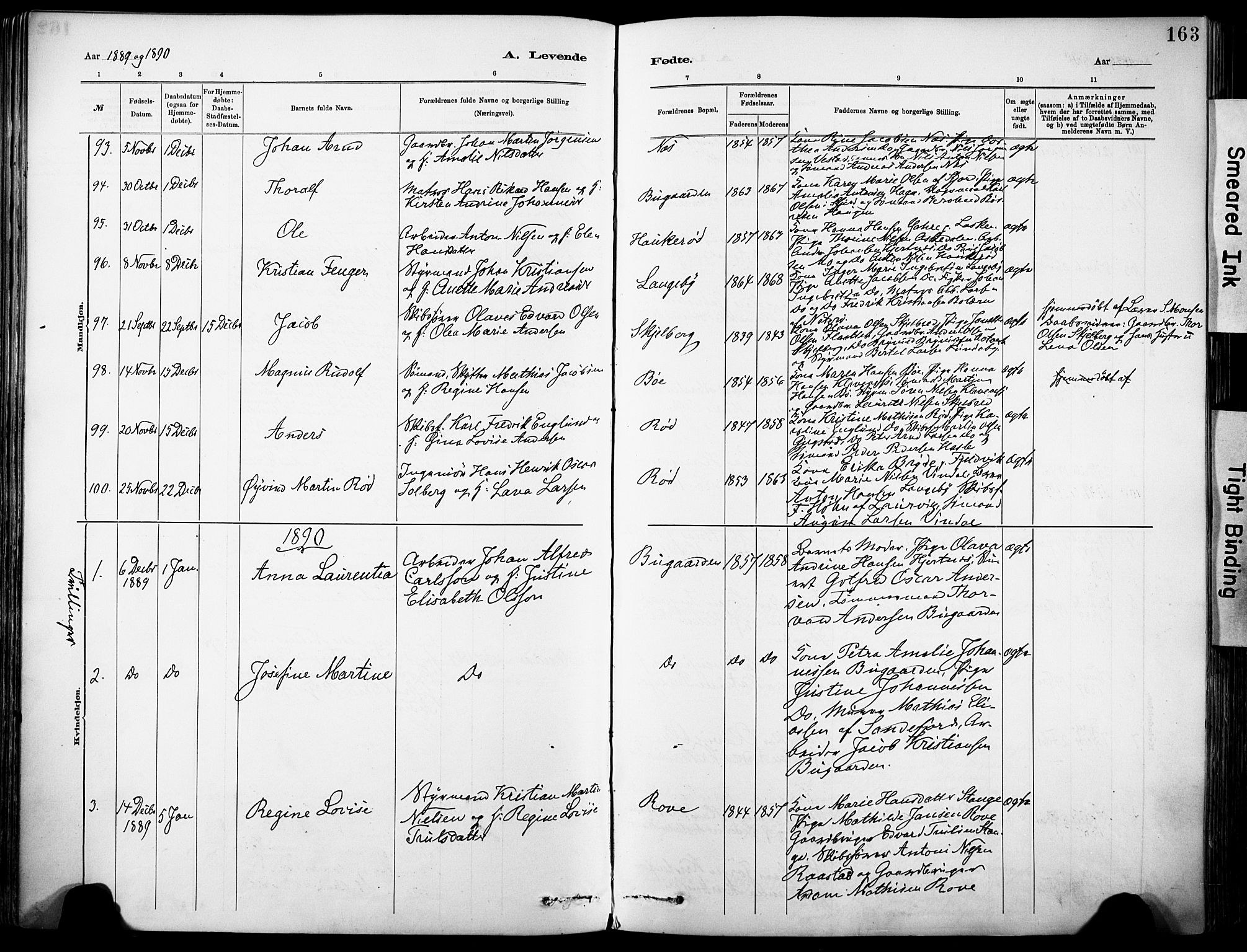 Sandar kirkebøker, SAKO/A-243/F/Fa/L0012: Parish register (official) no. 12, 1883-1895, p. 163