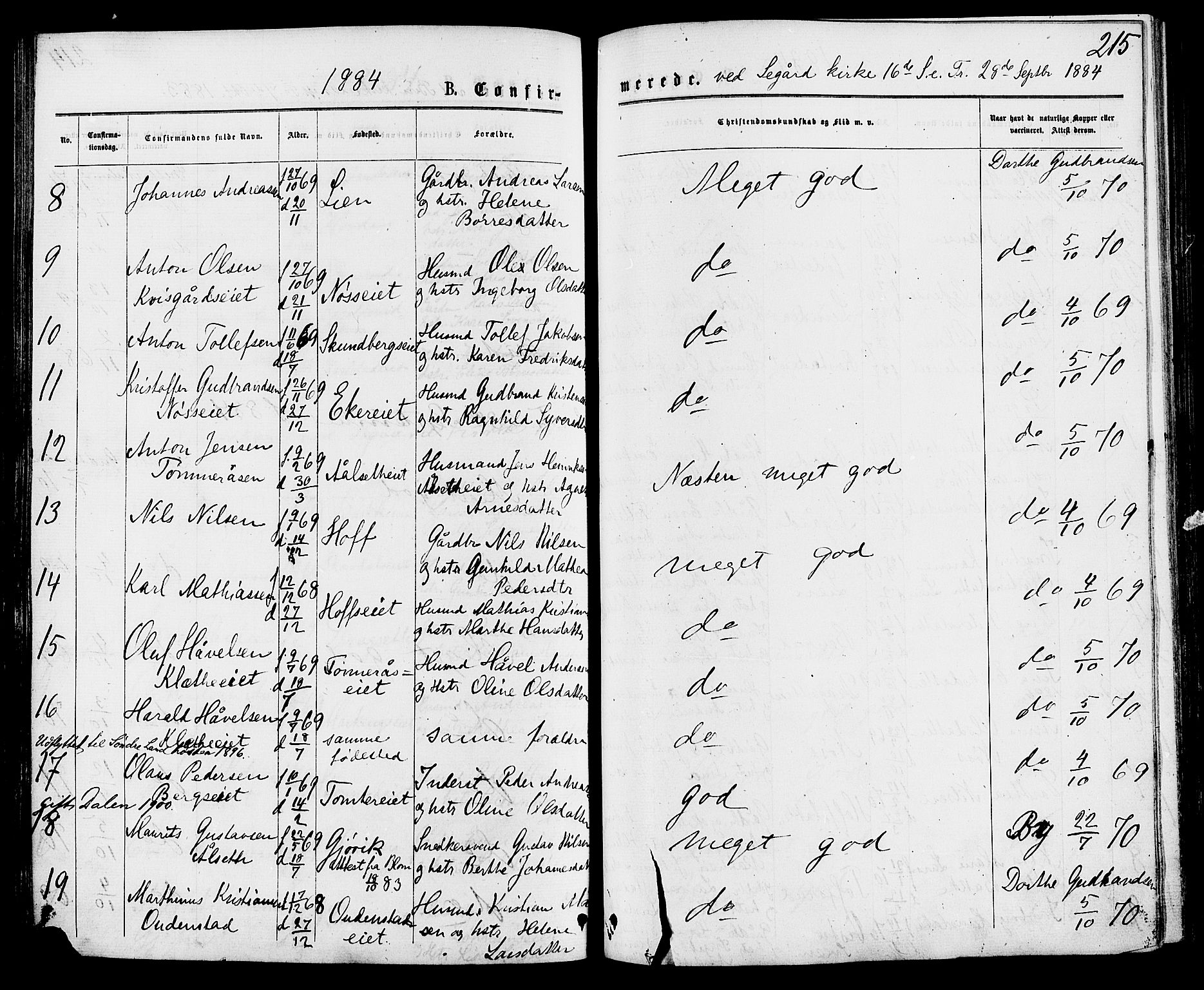 Biri prestekontor, AV/SAH-PREST-096/H/Ha/Haa/L0006: Parish register (official) no. 6, 1877-1886, p. 215