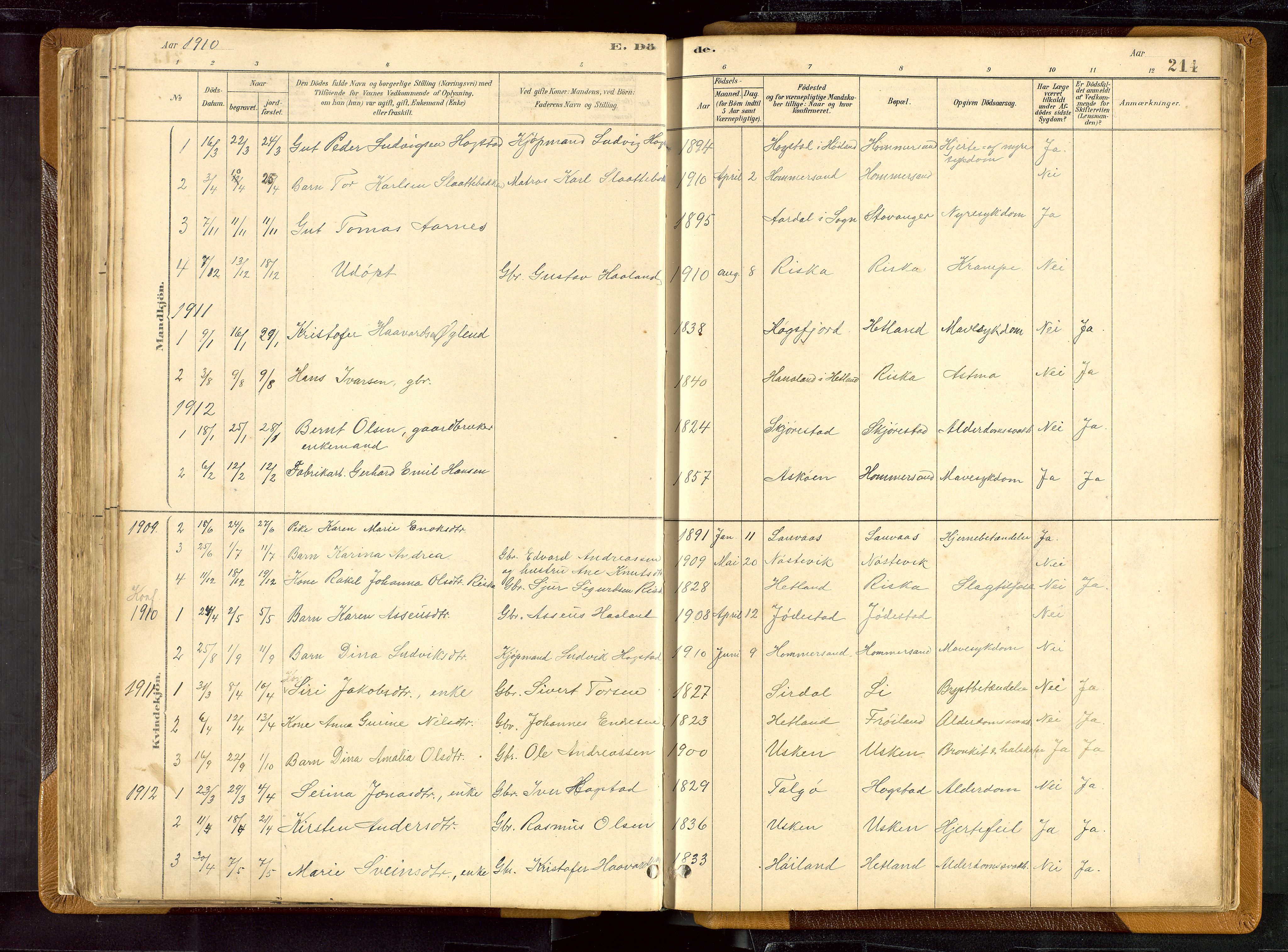 Hetland sokneprestkontor, SAST/A-101826/30/30BB/L0007: Parish register (copy) no. B 7, 1878-1910, p. 214