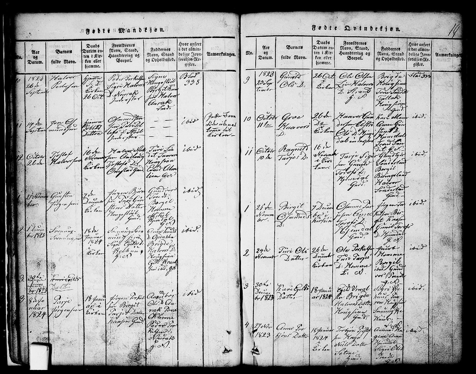 Nissedal kirkebøker, SAKO/A-288/G/Gb/L0001: Parish register (copy) no. II 1, 1814-1862, p. 19