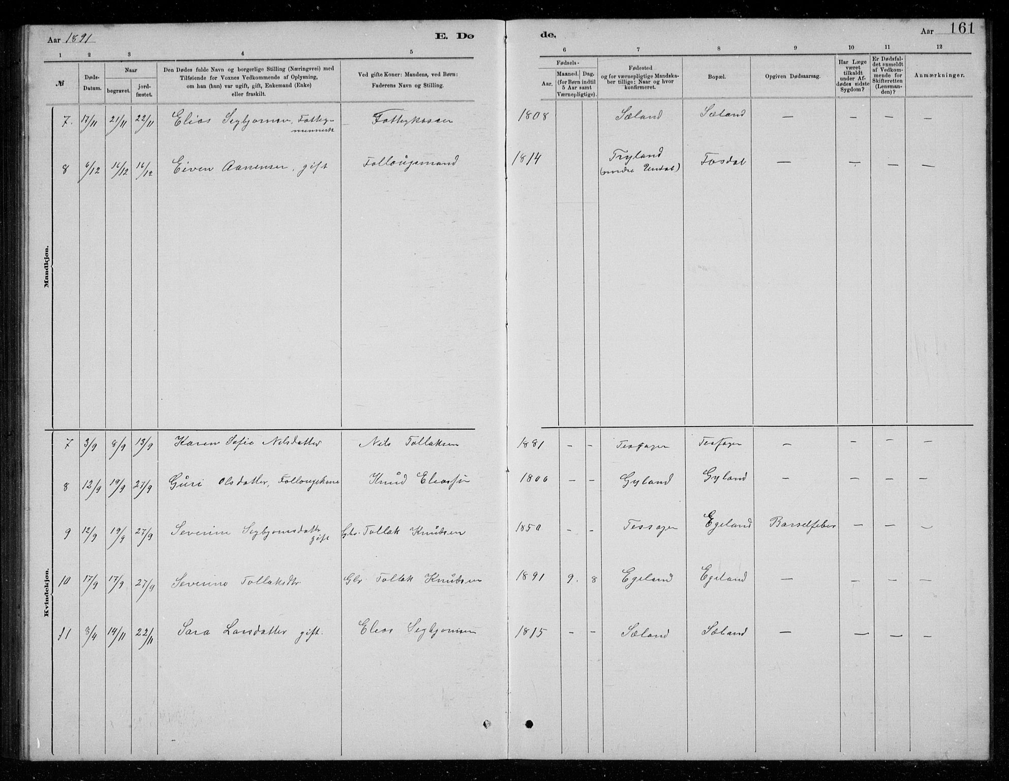 Bakke sokneprestkontor, AV/SAK-1111-0002/F/Fb/Fbb/L0003: Parish register (copy) no. B 3, 1878-1896, p. 161