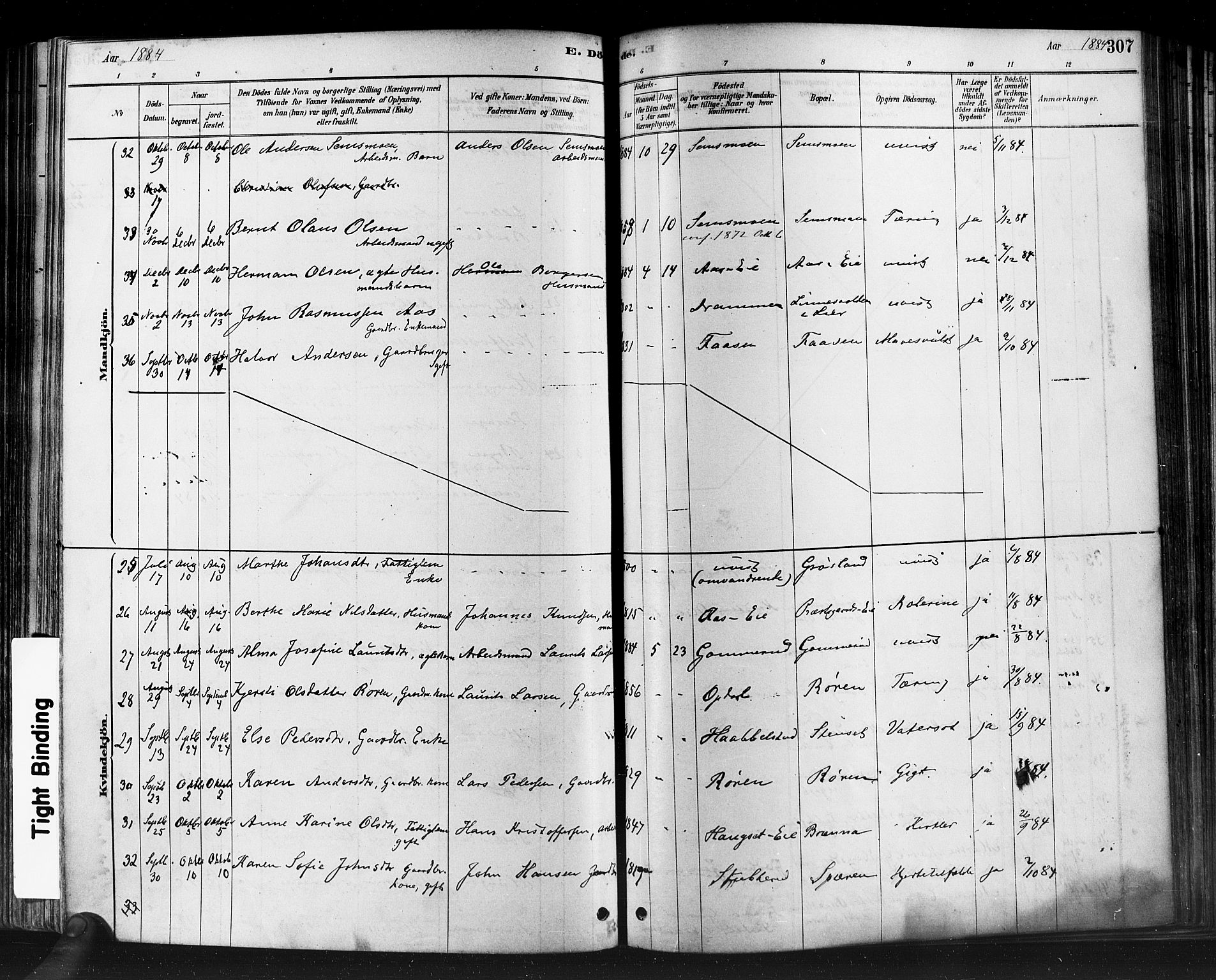 Eiker kirkebøker, SAKO/A-4/F/Fb/L0001: Parish register (official) no. II 1, 1878-1888, p. 307