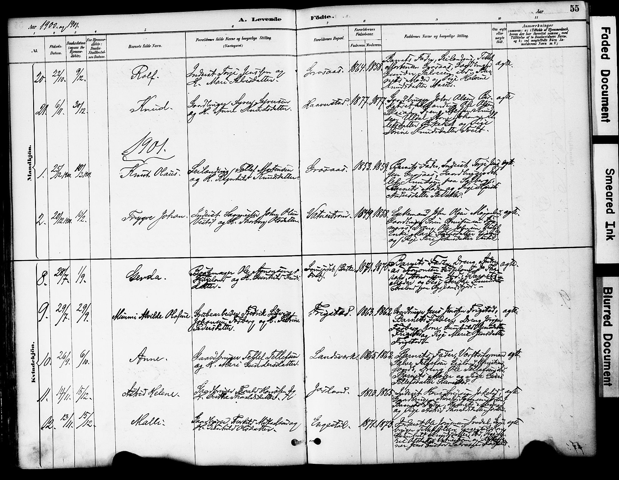 Evje sokneprestkontor, AV/SAK-1111-0008/F/Fa/Fac/L0003: Parish register (official) no. A 3, 1884-1909, p. 55