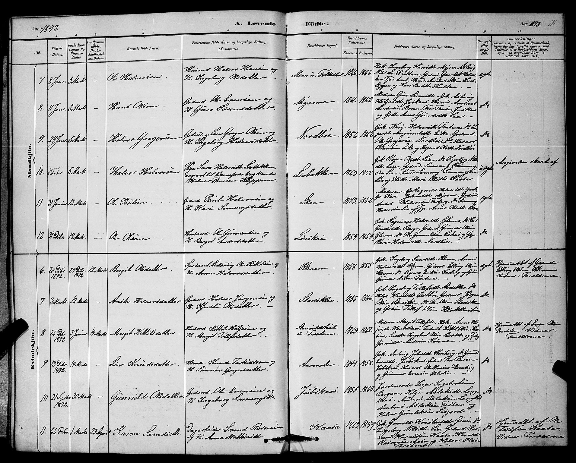 Bø kirkebøker, SAKO/A-257/G/Ga/L0005: Parish register (copy) no. 5, 1883-1897, p. 76