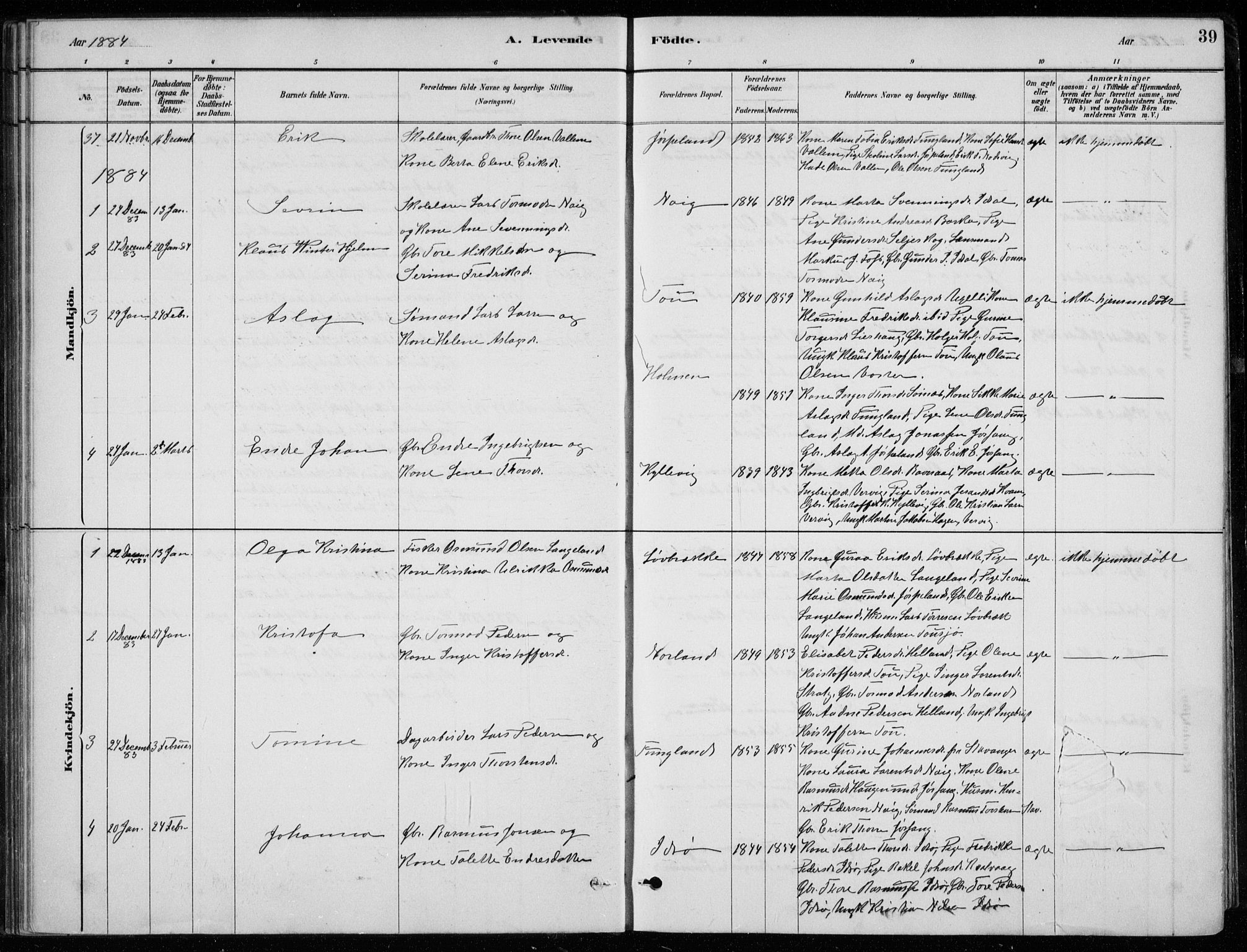 Strand sokneprestkontor, AV/SAST-A-101828/H/Ha/Hab/L0004: Parish register (copy) no. B 4, 1878-1903, p. 39