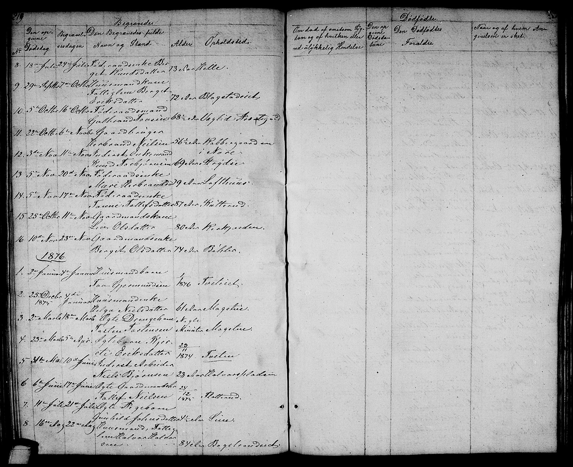 Rollag kirkebøker, SAKO/A-240/G/Gb/L0001: Parish register (copy) no. II 1, 1836-1877, p. 219