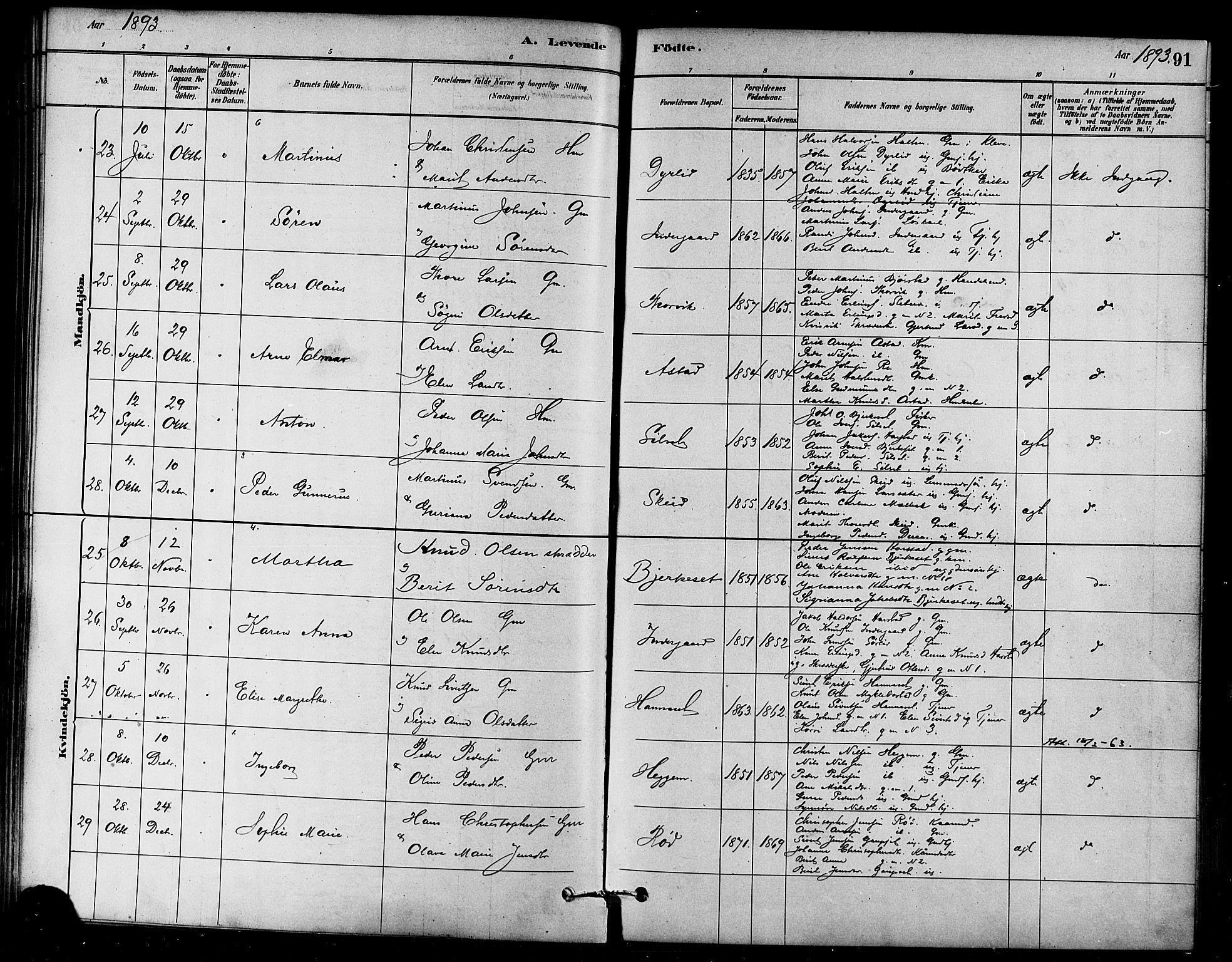 Ministerialprotokoller, klokkerbøker og fødselsregistre - Møre og Romsdal, AV/SAT-A-1454/584/L0967: Parish register (official) no. 584A07, 1879-1894, p. 91