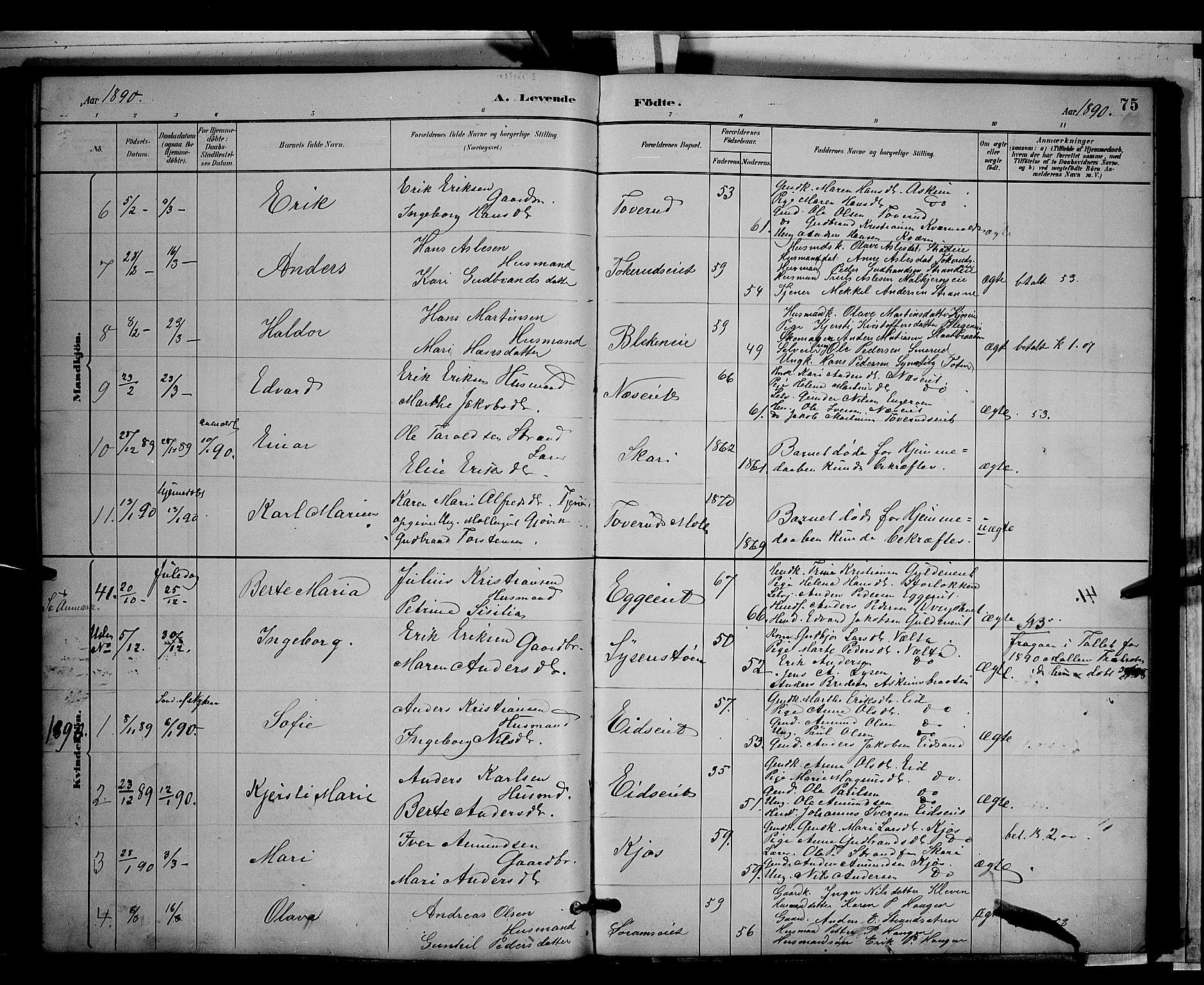 Gran prestekontor, SAH/PREST-112/H/Ha/Hab/L0003: Parish register (copy) no. 3, 1882-1890, p. 75