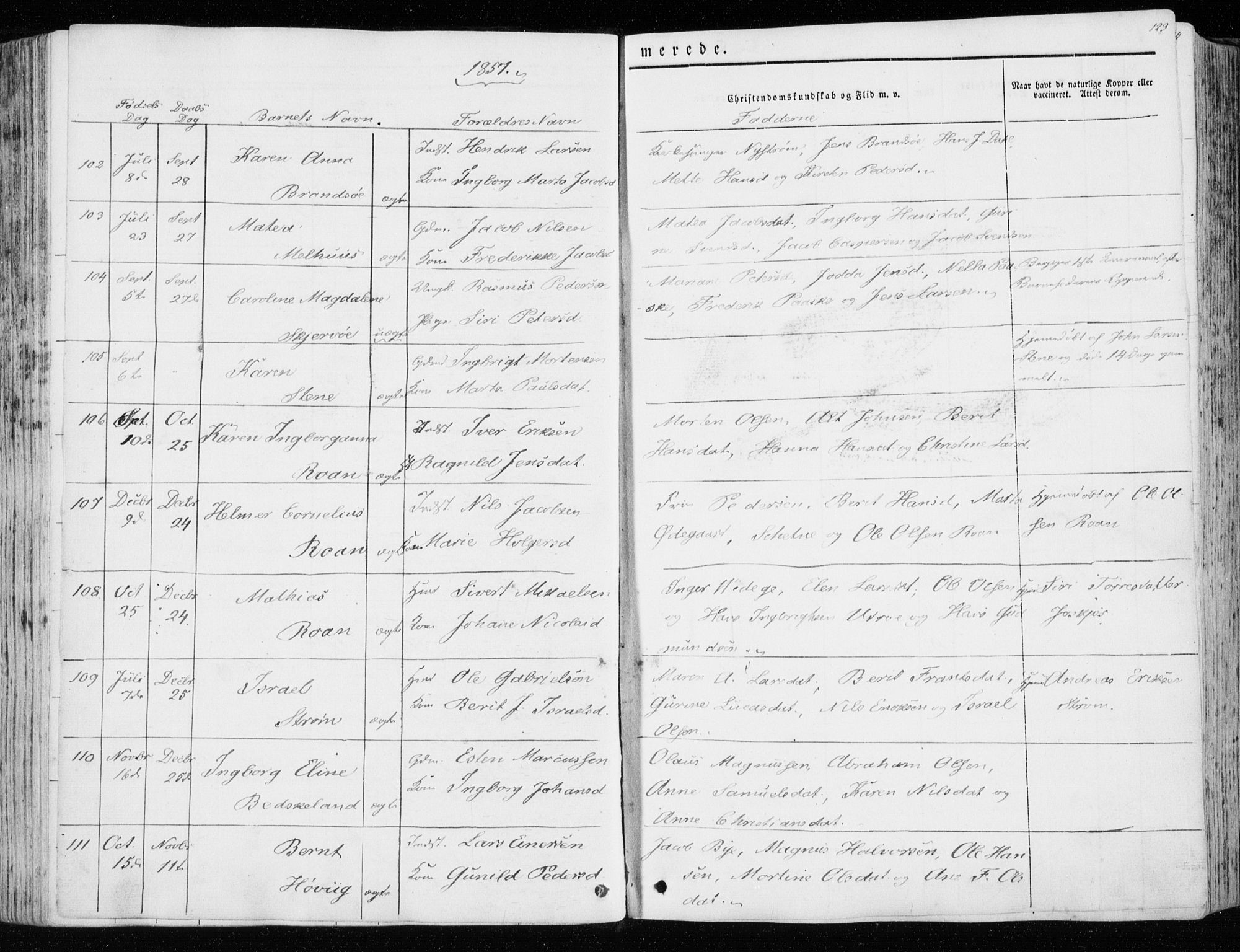 Ministerialprotokoller, klokkerbøker og fødselsregistre - Sør-Trøndelag, SAT/A-1456/657/L0704: Parish register (official) no. 657A05, 1846-1857, p. 123
