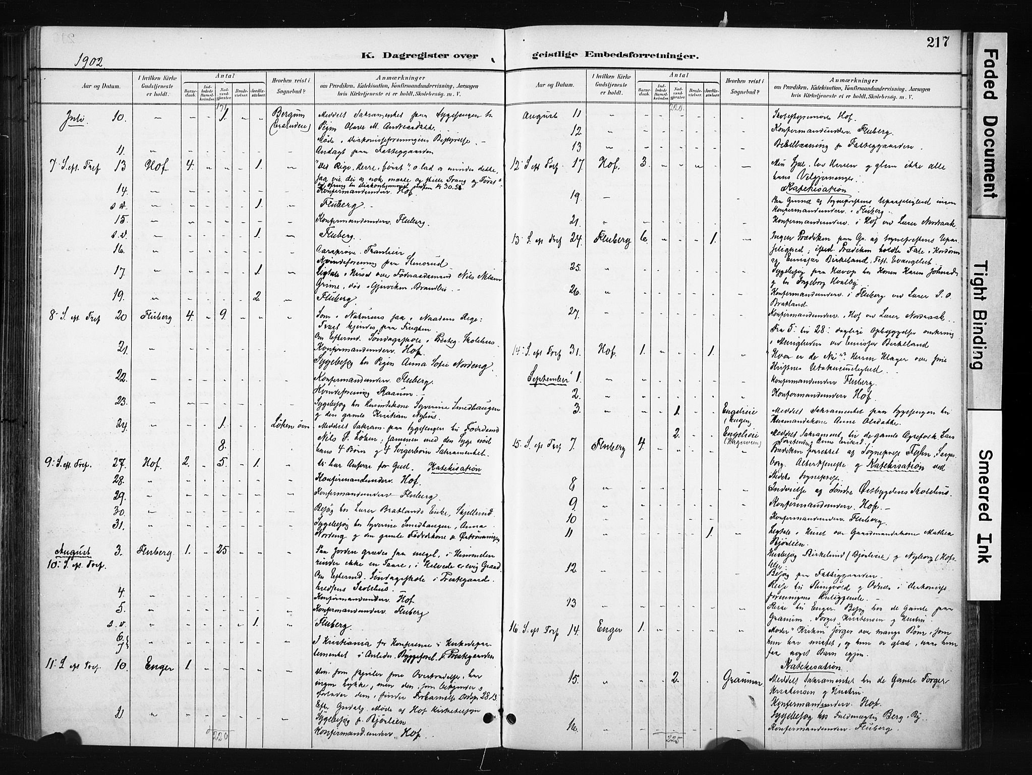 Søndre Land prestekontor, AV/SAH-PREST-122/K/L0004: Parish register (official) no. 4, 1895-1904, p. 217