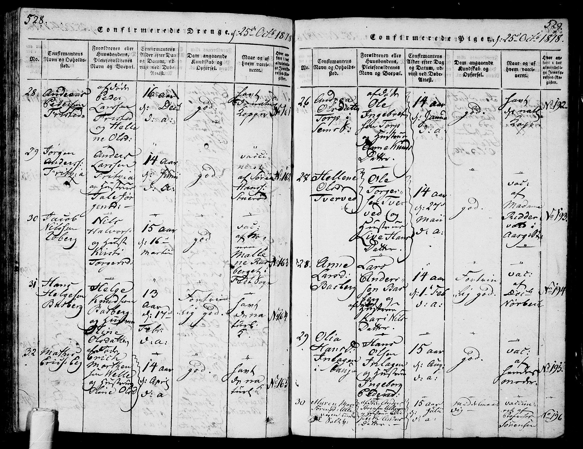 Sem kirkebøker, AV/SAKO-A-5/G/Ga/L0001: Parish register (copy) no. I 1, 1814-1825, p. 528-529