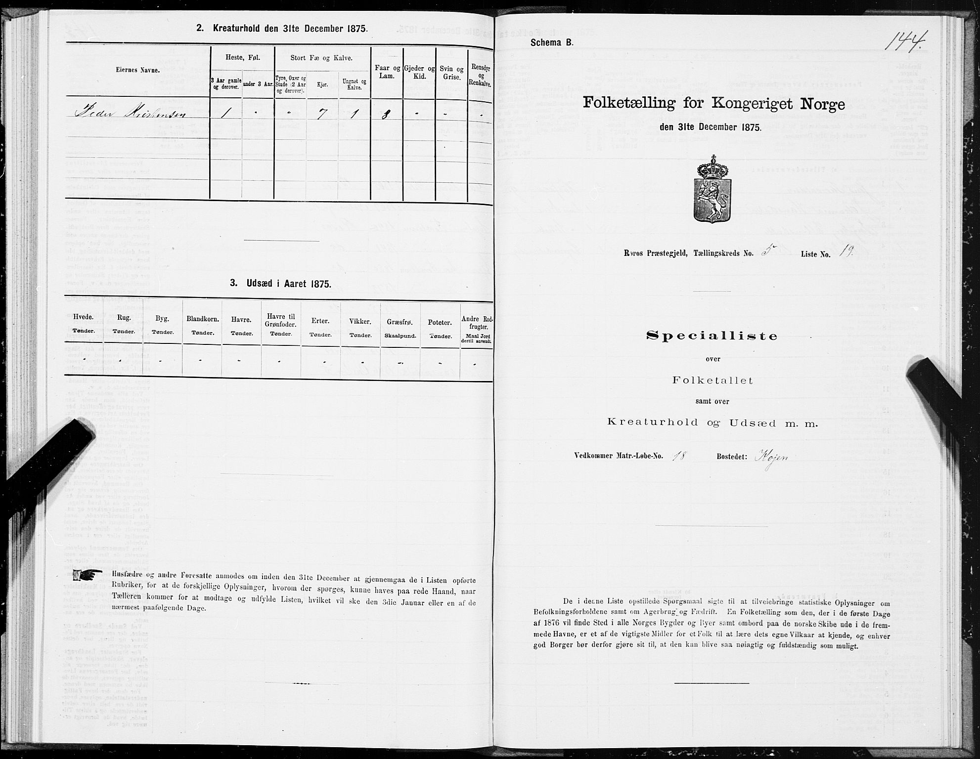 SAT, 1875 census for 1640P Røros, 1875, p. 3144