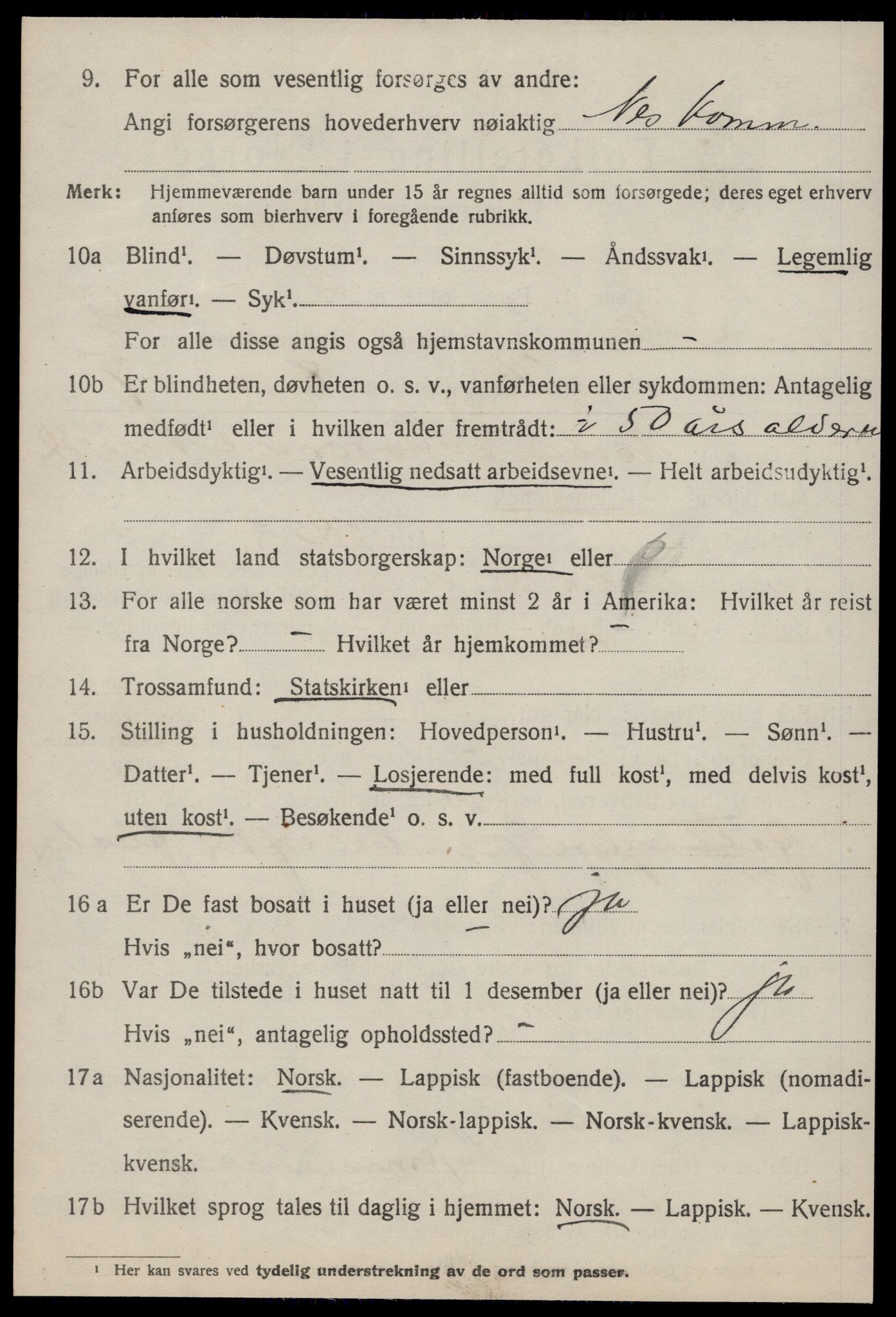 SAT, 1920 census for Nes (ST), 1920, p. 1488