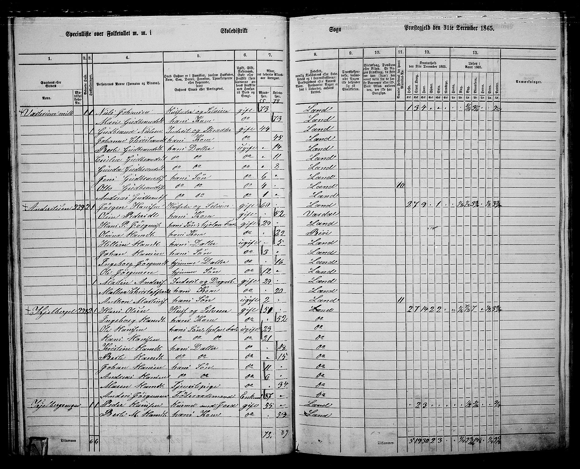 RA, 1865 census for Land, 1865, p. 248