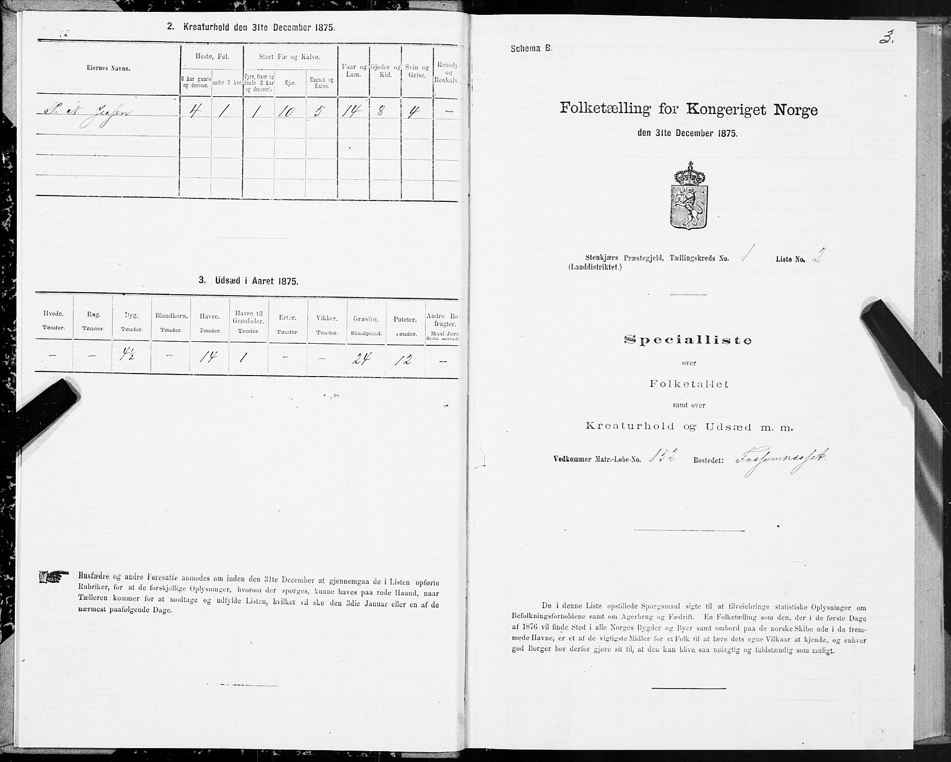 SAT, 1875 census for 1733L Steinkjer/Egge, 1875, p. 1003
