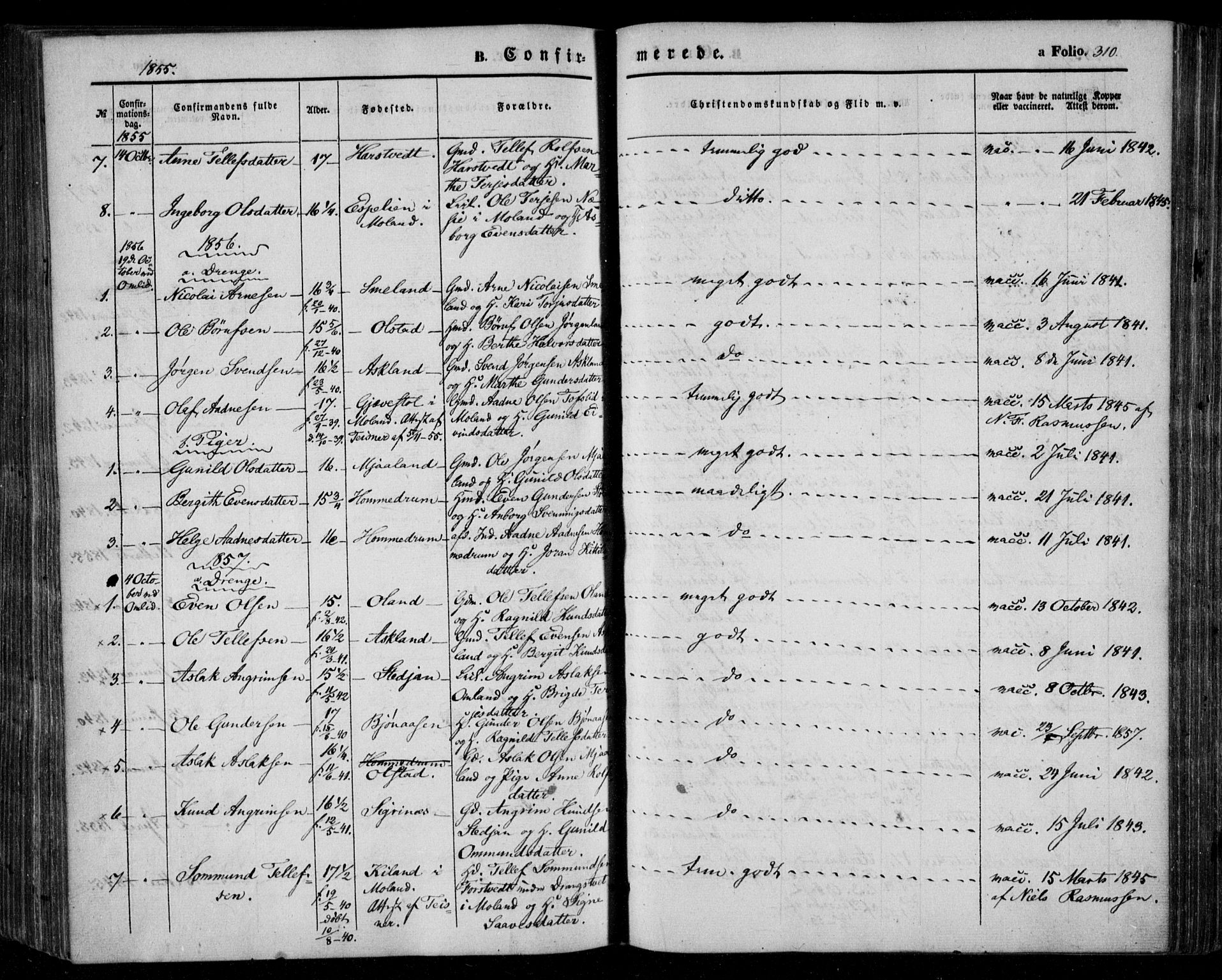 Åmli sokneprestkontor, AV/SAK-1111-0050/F/Fa/Fac/L0008: Parish register (official) no. A 8, 1852-1869, p. 310